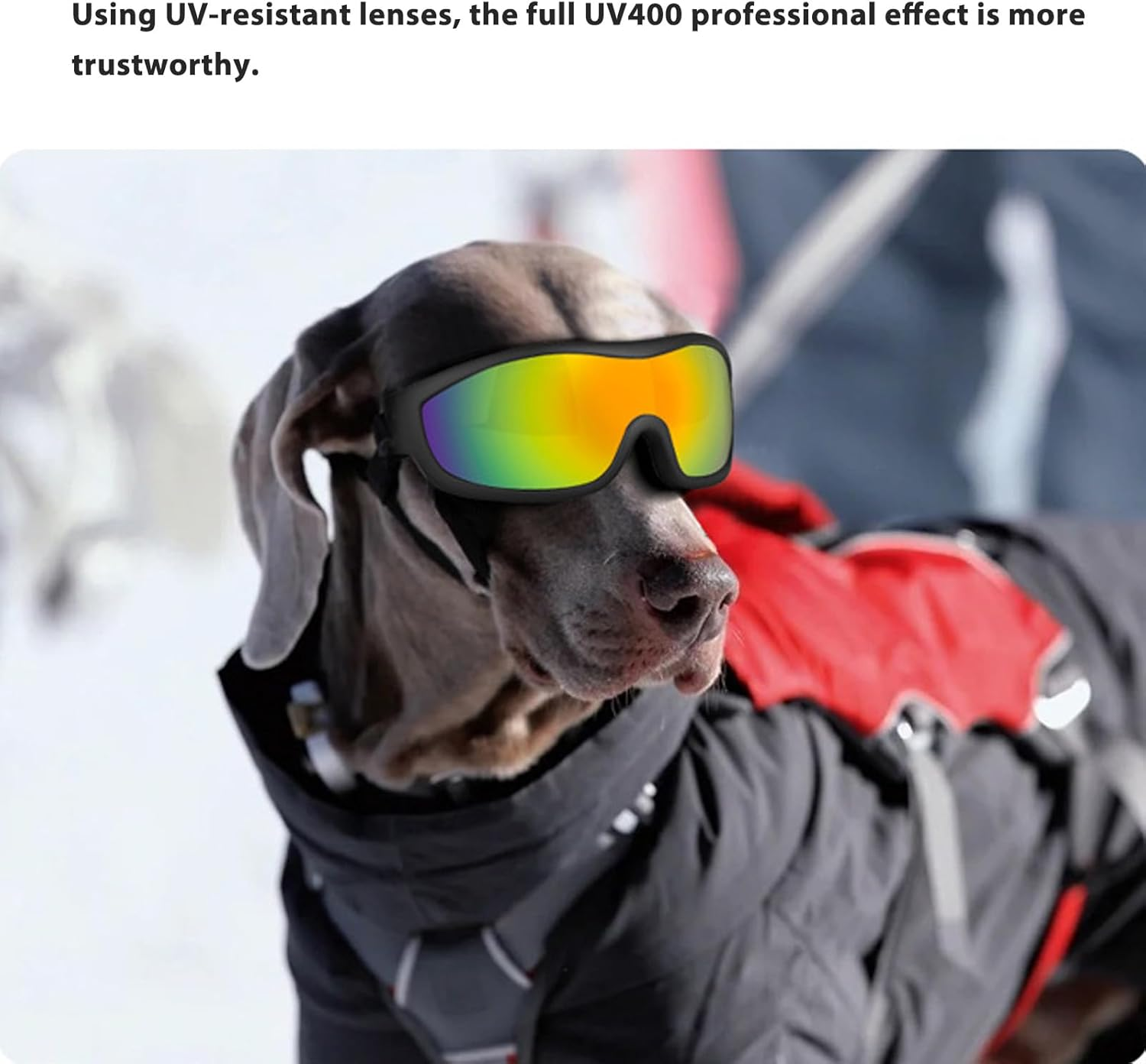 UV Dog Sunglasses, Wind Dust Fog Eye Wear Pet Glasses, Small Breed Dogs Goggles with Adjustable Strap for Dog Cat Walking Swimming Bike Riding Hiking (Red) image number 4