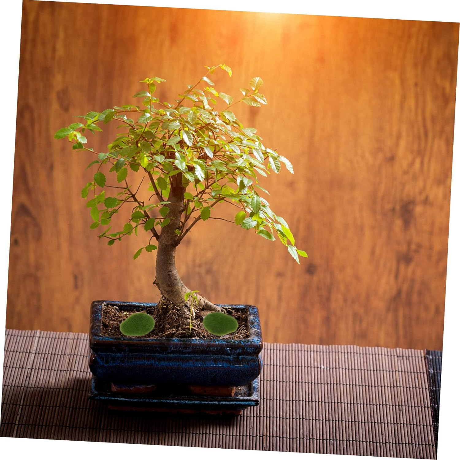 20Pcs Artificial Moss Stone Fish Tank Mossy Stone Faux Stone Simulated Mossy Stone Artificial Rock for Moss Miniatures Terrarium Moss Stones Vivid Mossy Landscape Stone Green Foam image number 2