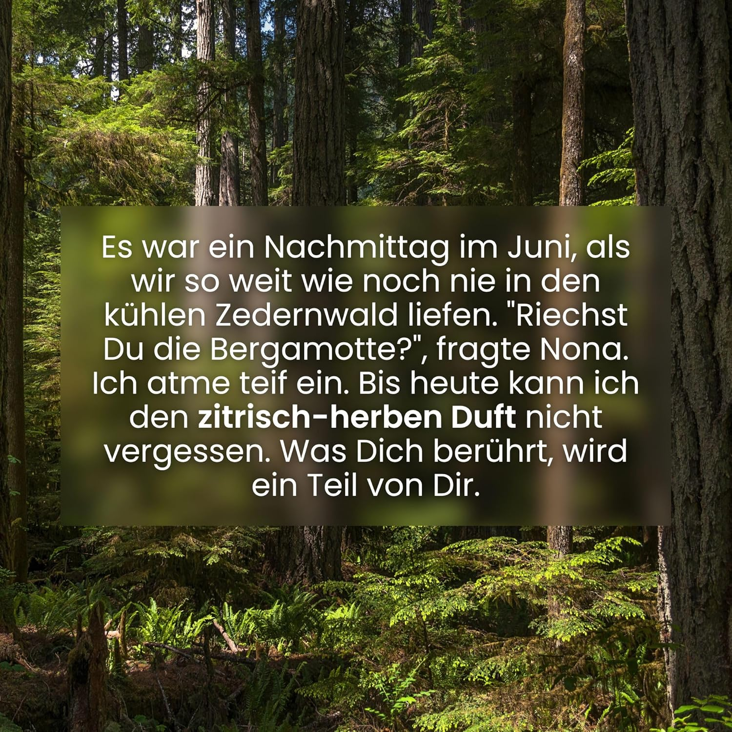 Jean & Len Bergamot & Cedarwood Hand Soap, Cleans Stressed Hands, Suitable for Daily Use, Liquid Soap in Pump Dispenser, Refreshing Citrus Fragrance, Vegan, 250 Ml image number 2