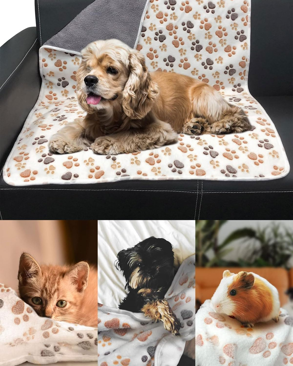 SCJJZ Pack of 2 Cat Blankets, Cat Blanket for Cats, Cuddly Blanket Dog Washable and Fluffy Soft and Warm Blankets Pets for Small Medium Dogs Cats Pet Blanket Sleeping Mat 40 X 60 Cm image number 2