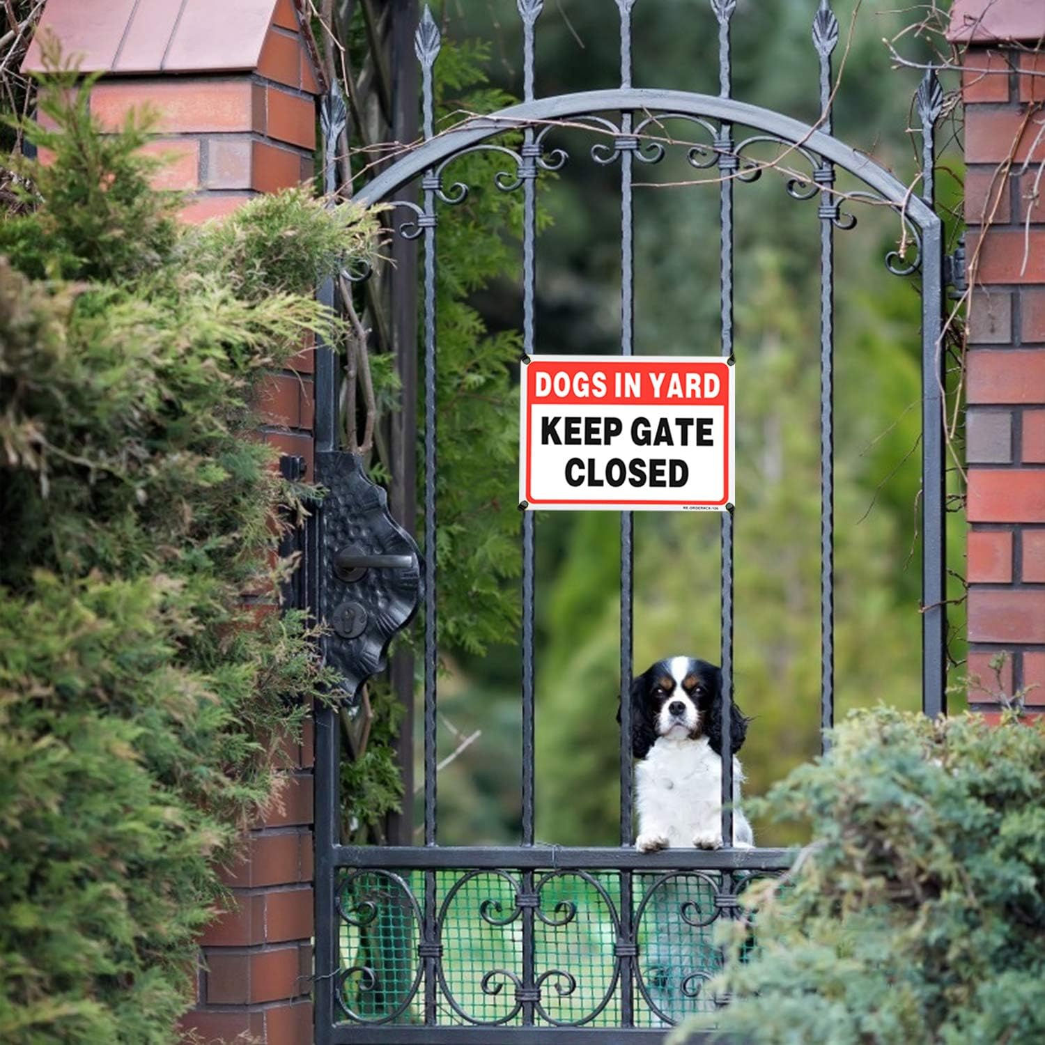 MUXYH Keep Gate Closed, Dogs in Yard Sign 2 Pack, 10" X 7" .40 Rust Free Heavy Duty Aluminum Reflective Sign, UV Protected and Weatherproof - Easy to Mount image number 6