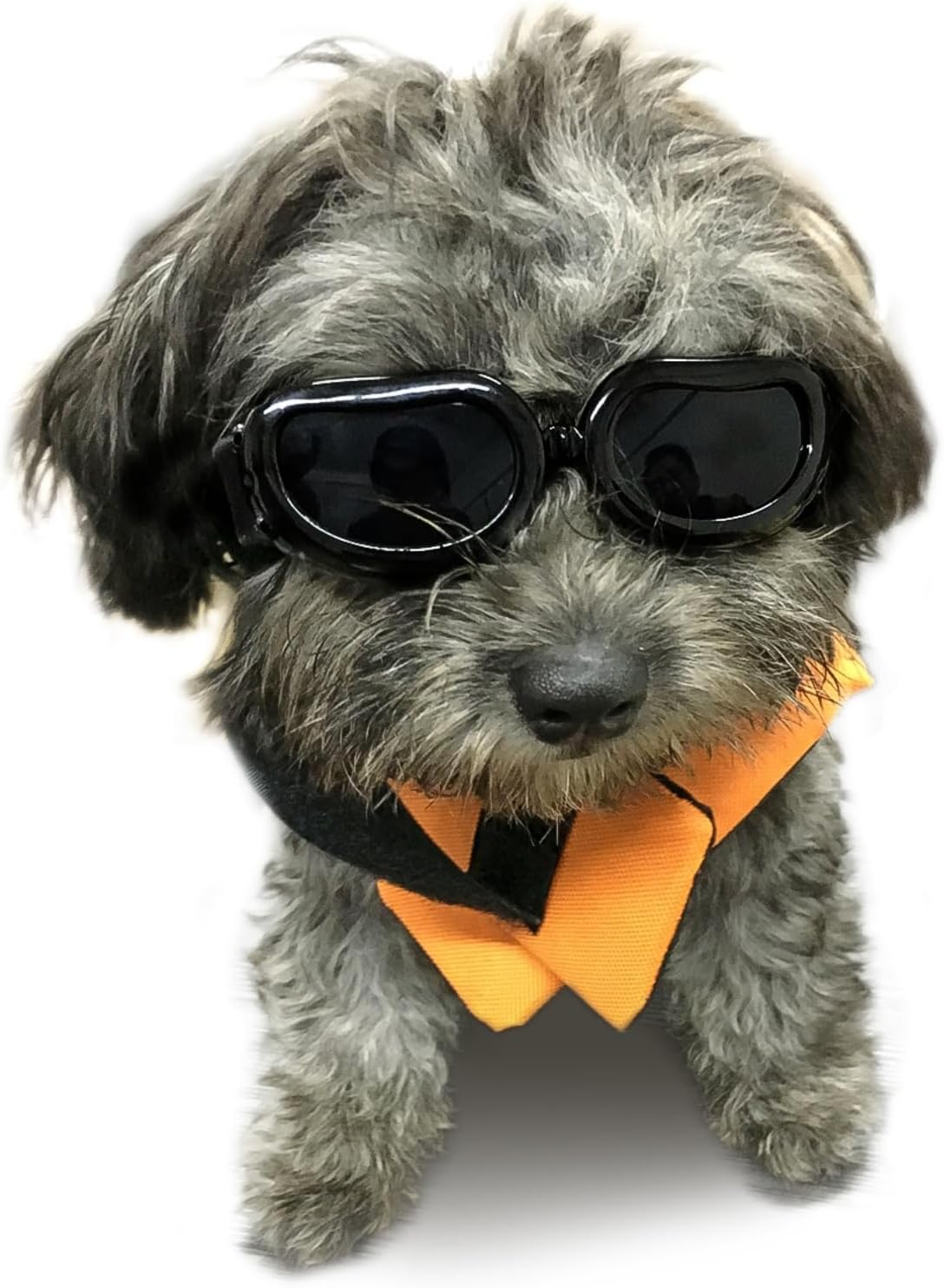Dog Goggles - Small Dog Sunglasses Waterproof Windproof UV Protection for Doggy Puppy Cat - Black