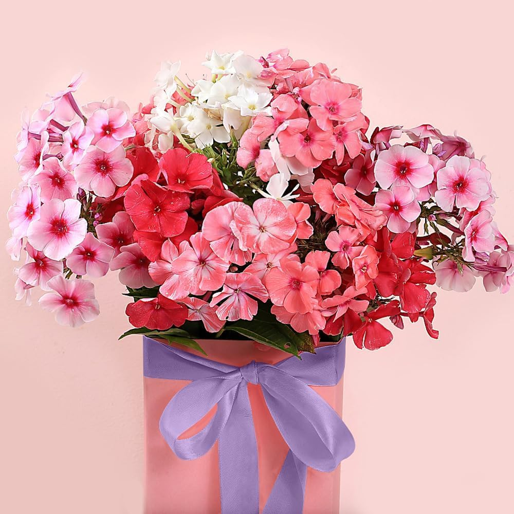 Light Purple Ribbon, 2.5Cm X 25 Yards Ribbon, Light Purple Satin Ribbon for Wedding Flower Arrangement and Birthday Party Decorations image number 3