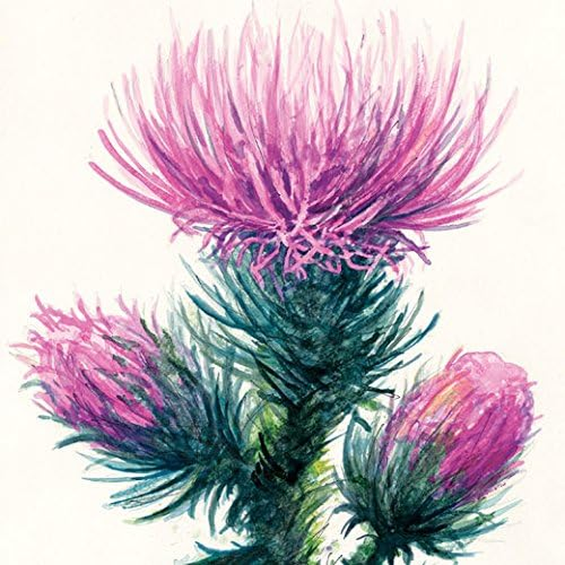 Strathmore 400 Series Watercolor Block, Cold Press, 9"X12" Bound (4 Sides), 15 Sheets/Block image number 3