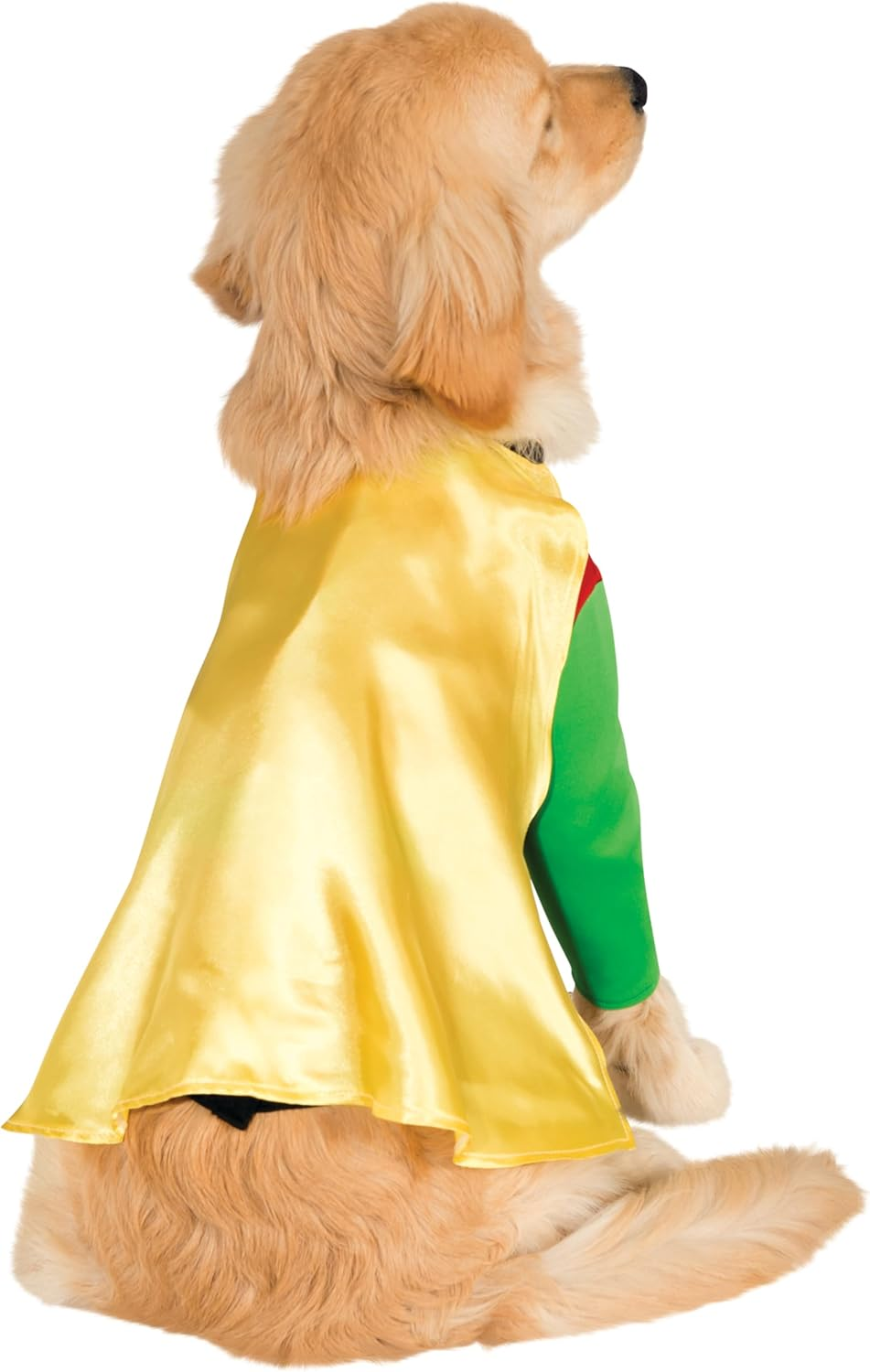 DC Comics Robin Big Dog Boutique, Xx-Large image number 2