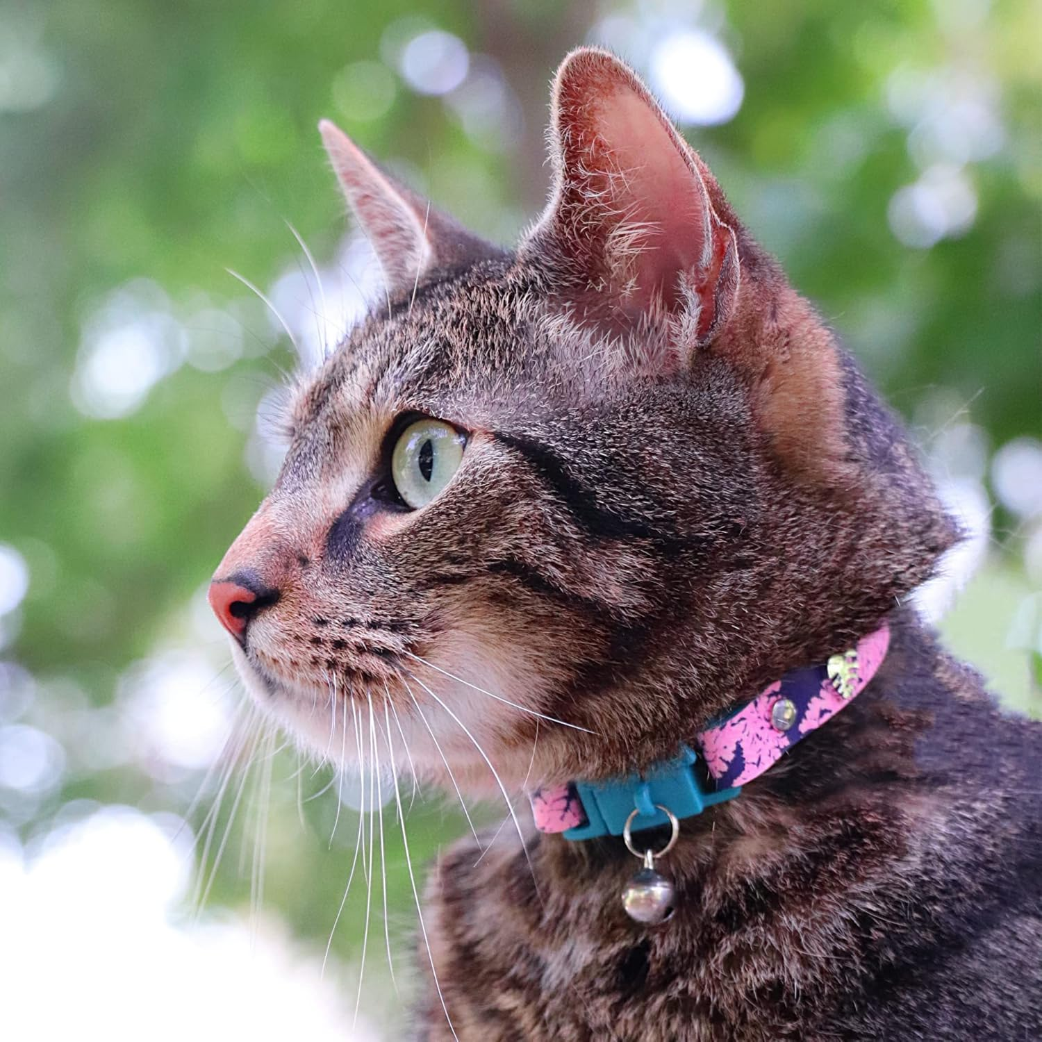Kittyrama Botanicals Fern Cat Collar. Award Winning. Hypoallergenic, Quick Release Breakaway, Comfy & Soft. Vet Approved. Other Styles Available image number 1