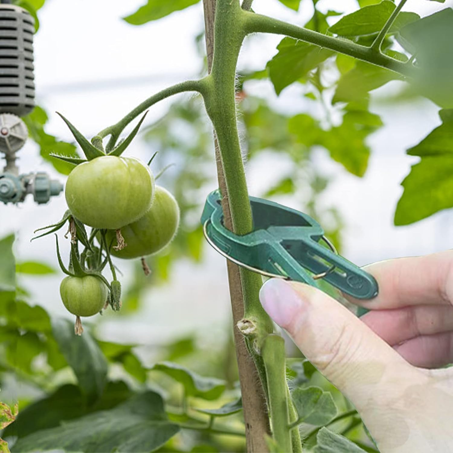 Tanstic 50Pcs Green Plant Support Clips Kit, 2 Sizes Plant Clips Garden Clips, Gardening Plant Flower Lever Loop Gripper Clips for Supporting and Straightening Stems, Stalks, Vines image number 1