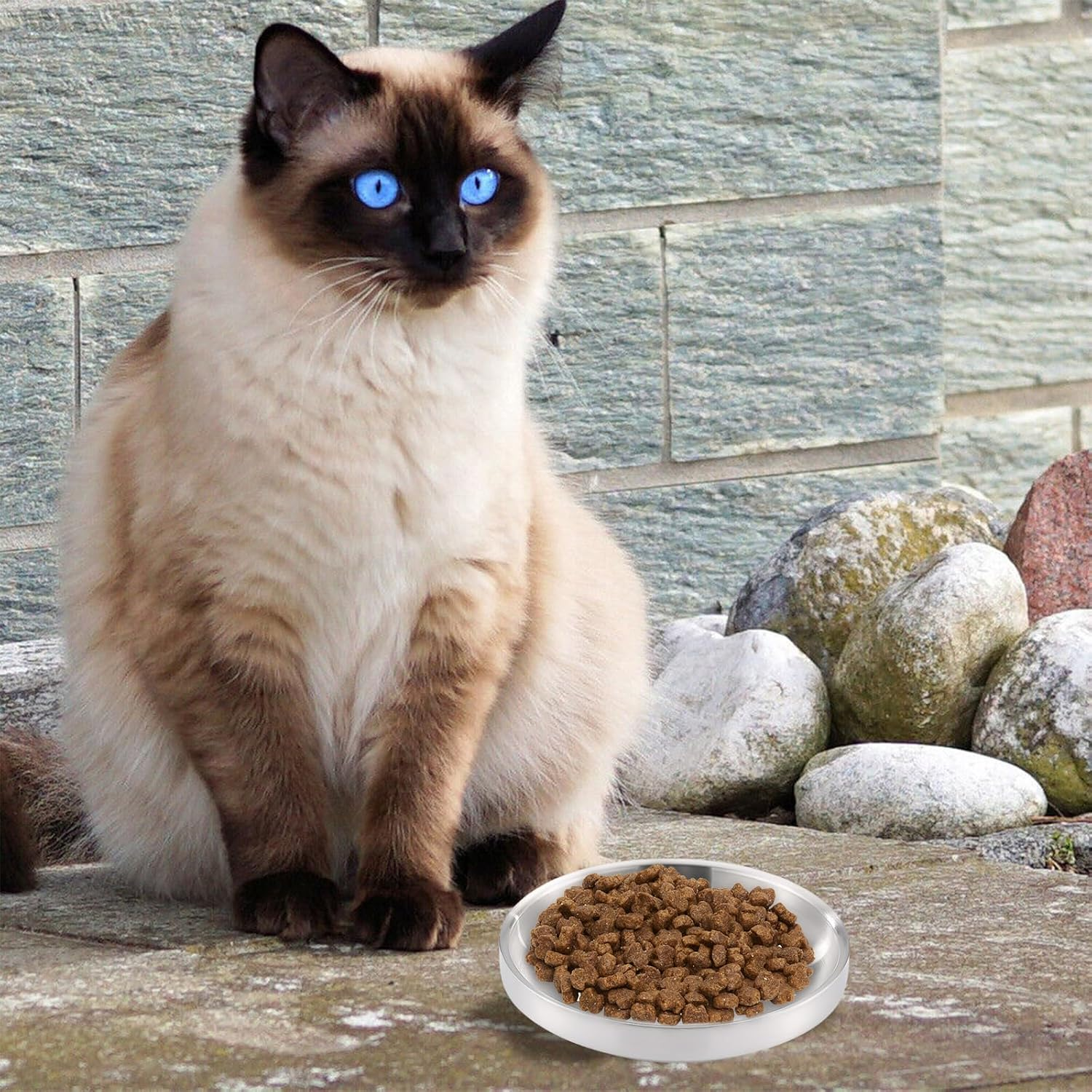 HOMURY Pack of 2 Cat Bowls Stainless Steel Cat Bowls Flat Cat Bowls Metal 304 Feeding Bowl Cat Water Bowl Cat Drop-Proof and Easy to Clean Cat Bowl for Small, Medium Dogs Cats image number 2