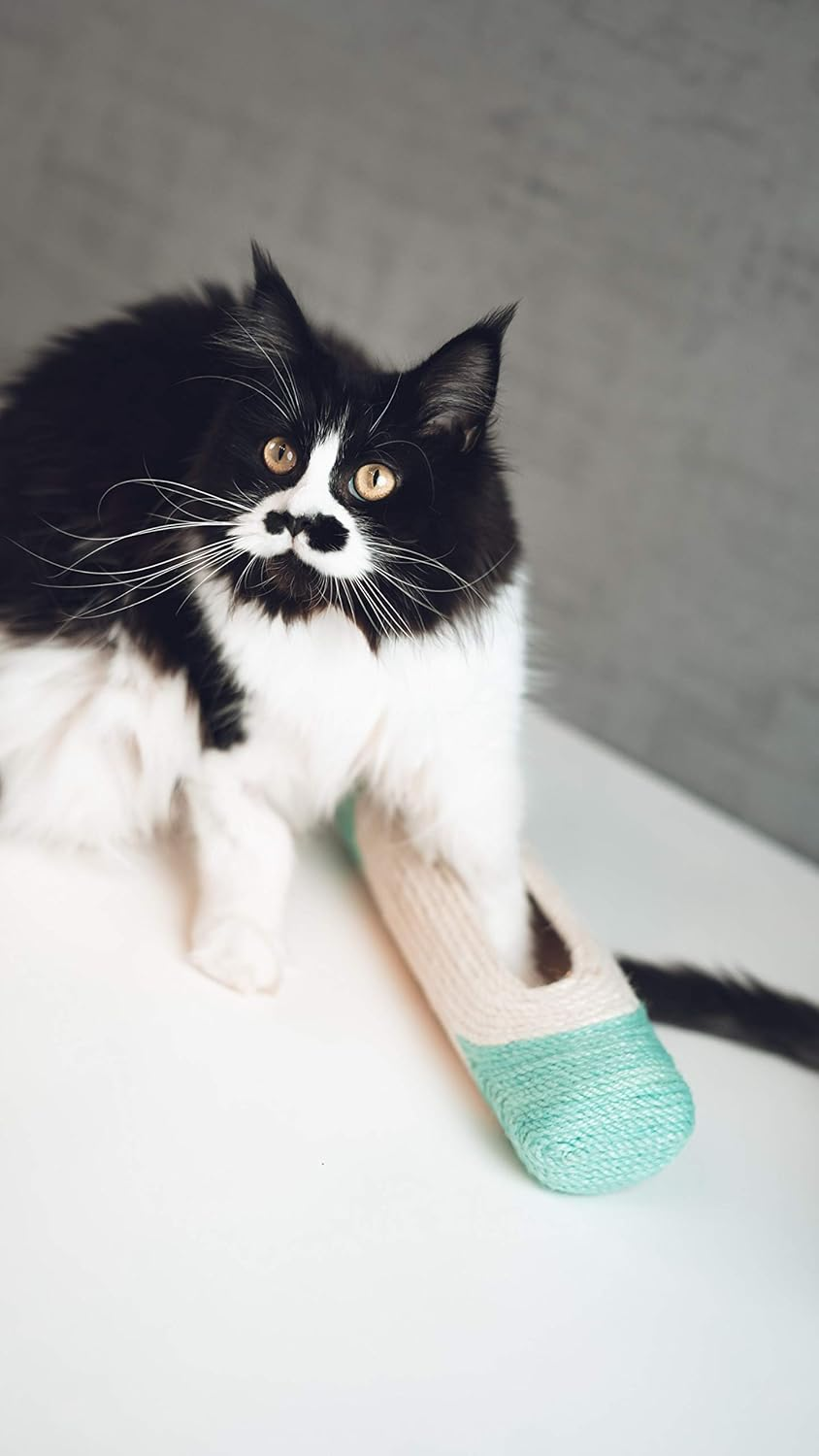 Aime Cat Tree XXL Tube Mint + 3 Balls 29 Cm Pack of 1 image number 1