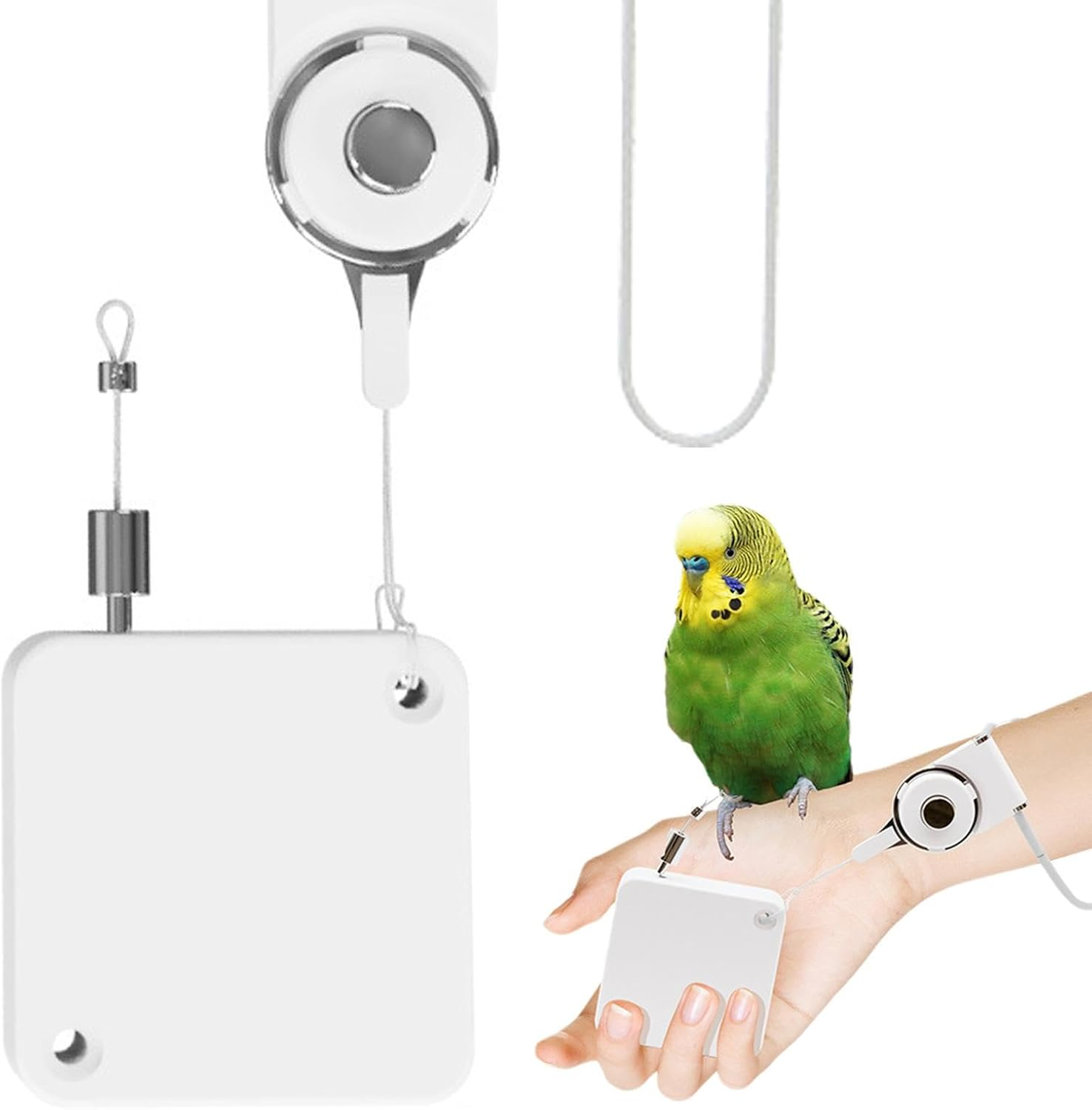 Cockatiel Harness and Leashes - 2M Portable Conures Bird Leashes - Soft Foot Ring Bird Flying Harness, Adjustable Traction Rope for Budgies, Cockatiels, Psittacula