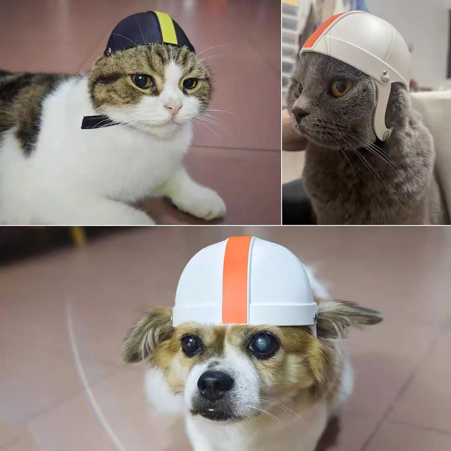 IUOUTG Pet Helmet for Small and Medium Dog with Ear Holes Cat Helmet Football Dog Helmet Outdoor Motorcycle Puppy Hard Hat for Dogs and Cat Pet Riding Supplies image number 3