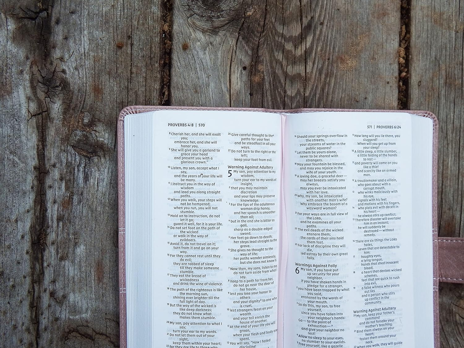 NIV Pocket Thinline Bible, Snap Closure, Red Letter, Comfort Print [Pink] image number 1