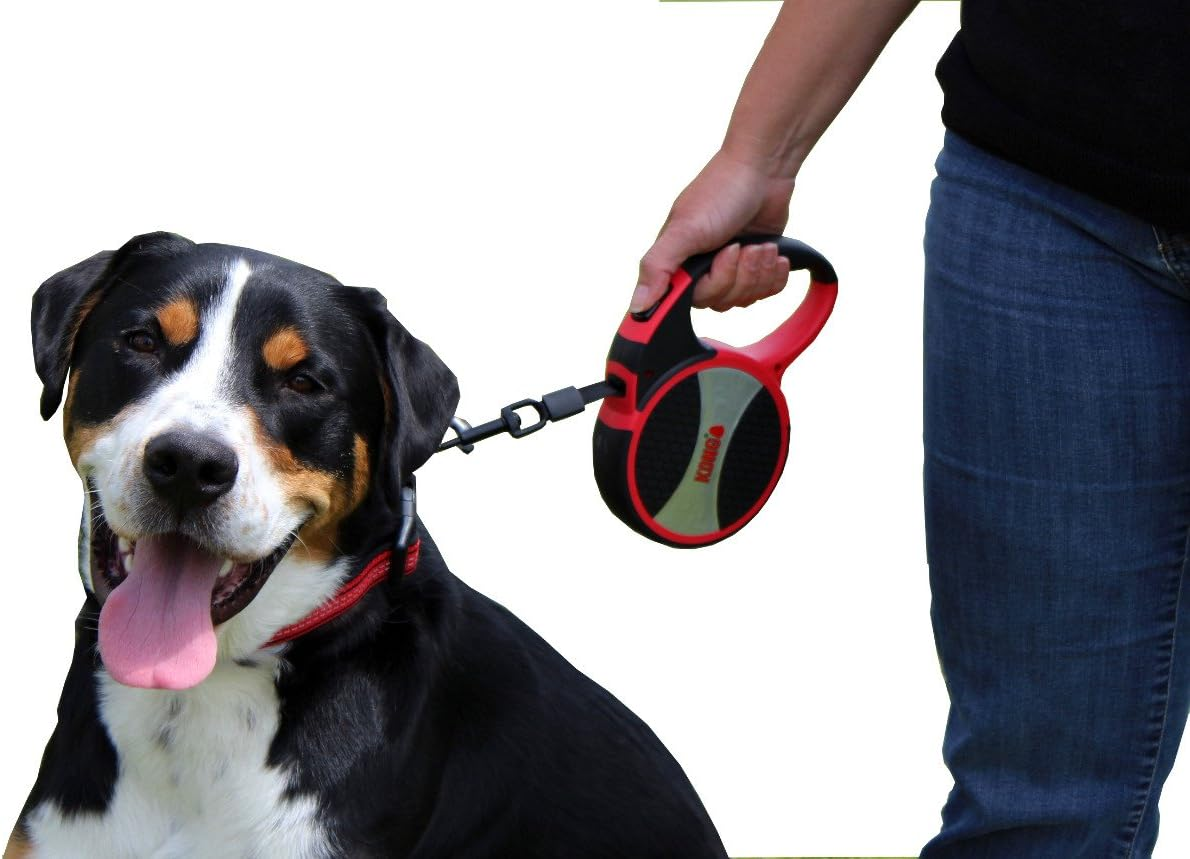 KONG Terrain Retractable Dog Leash, Large, Grey, 5M Tape image number 4