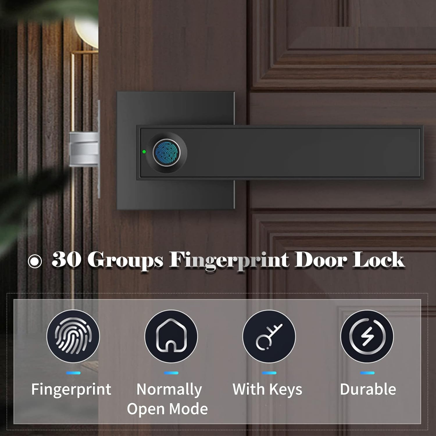 Mingzhe 30 Groups Fingerprint Door Lock Smart Door Knob Gate Locks Left-Right Open Door Lever Lock Set Entry Door Lock for Home Interior Door Bedroom Hotel Warehouse Office