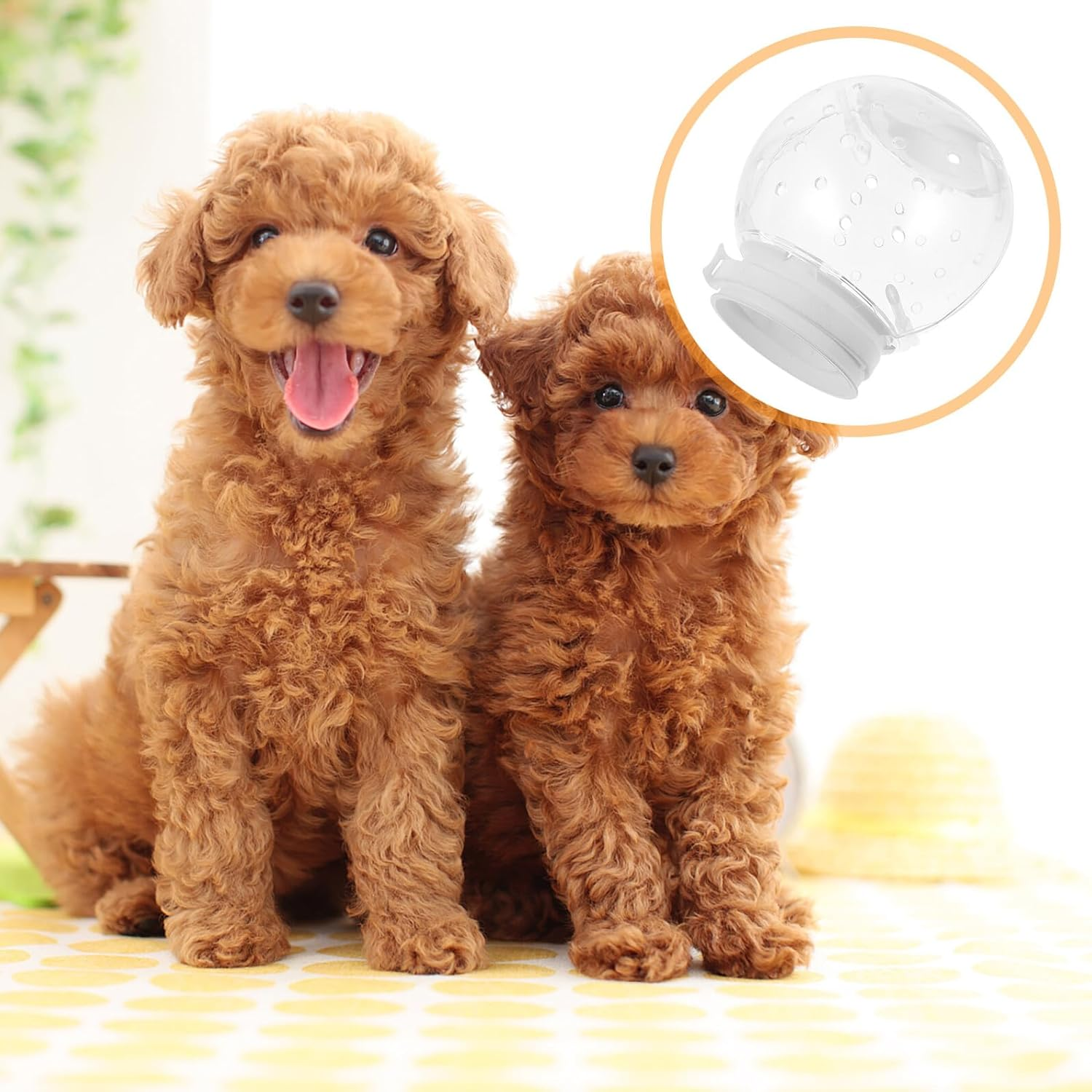 DIKACA Transparent Pet Helmet for Cats and Dogs Anti-Biting Breathable Space Helmet for Surgery Grooming and Bathing Protection Clear Hood Preventing Self-Injury image number 5