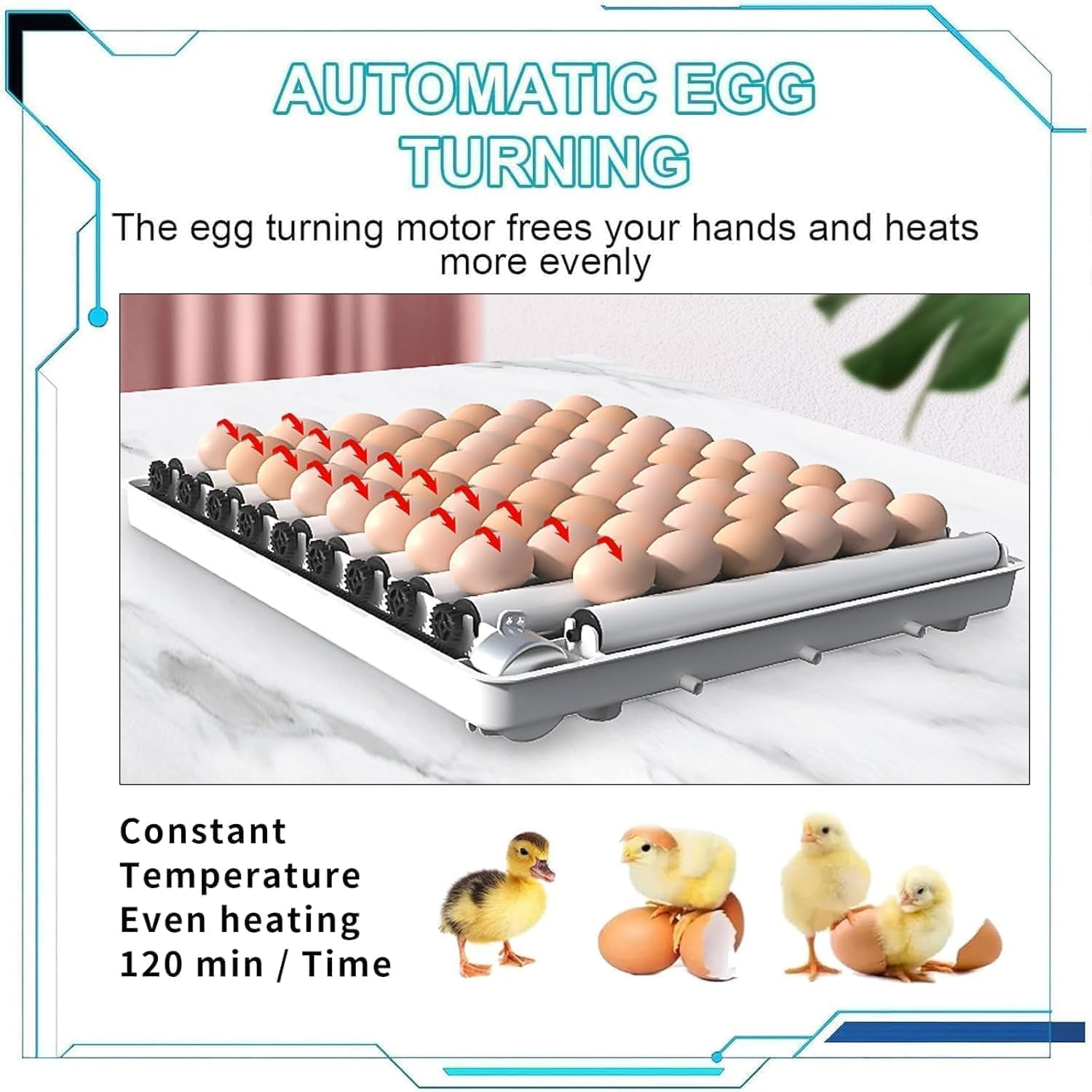 12 Egg Incubator with Humidity Temperature Display, Egg Candler, Automatic Turner, for Hatching Chickens,Chicken Incubator (White) image number 5