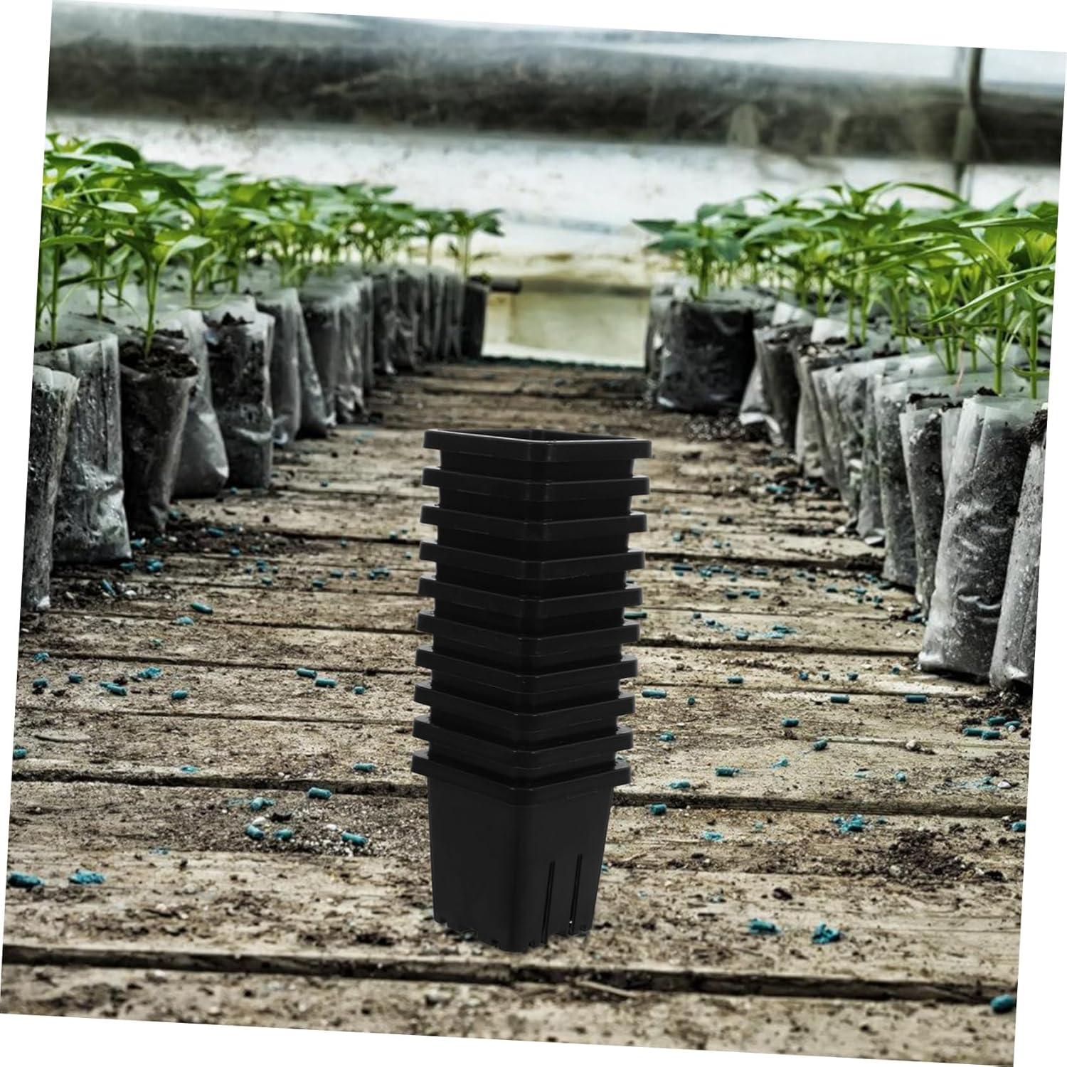 SUPVOX 10Pcs Plastic Hydroponic Net Pots Cultivation Baskets for Vegetable Indoor Gardening Reusable Mesh Planter image number 5