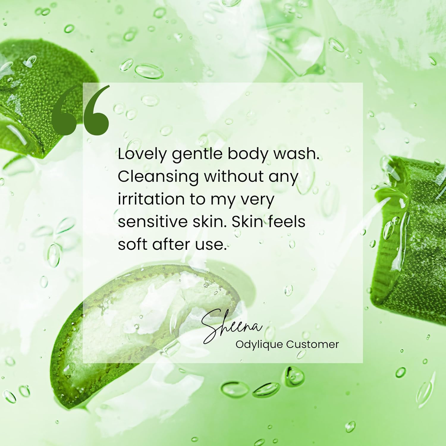 (Aloe Vera, 500Ml) - Organic Body Wash (Aloe Vera, 16.9) image number 1