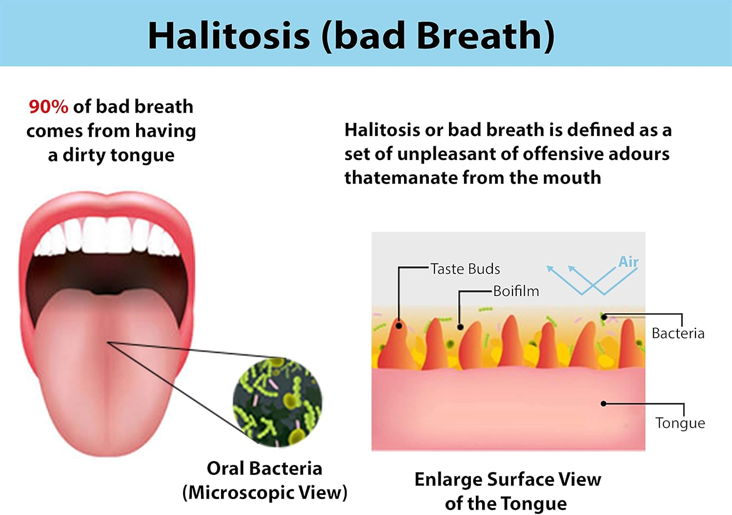 Wonder Care - Limited Edition Exquisite Twisted Copper Tongue Scraper/Cleaner Ayurvedic Antibacterial for Optimal Oral Hygiene (1 Pc) image number 3