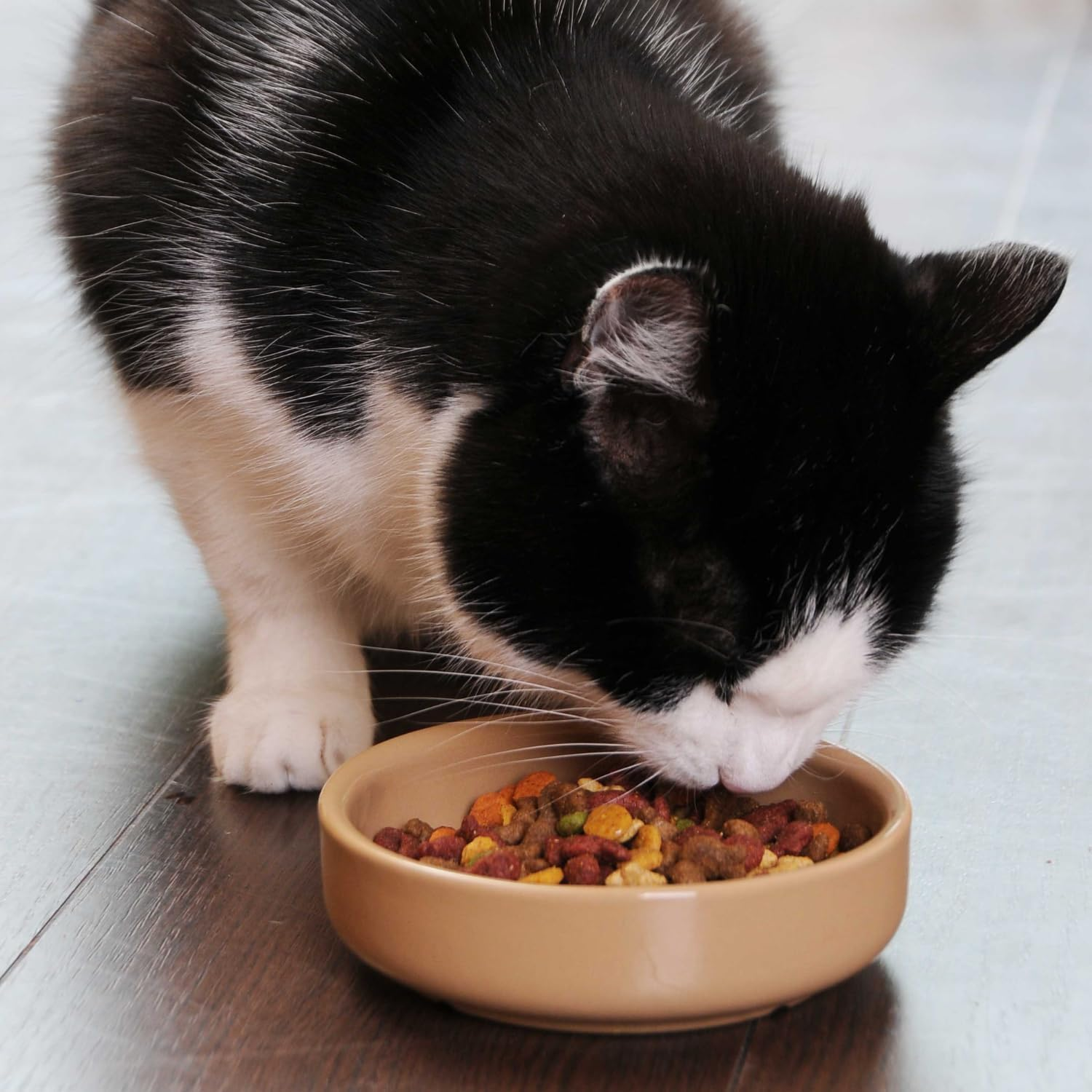 Mason Cash Cane Cat Saucer Bowl Dish, 5 Inch image number 4