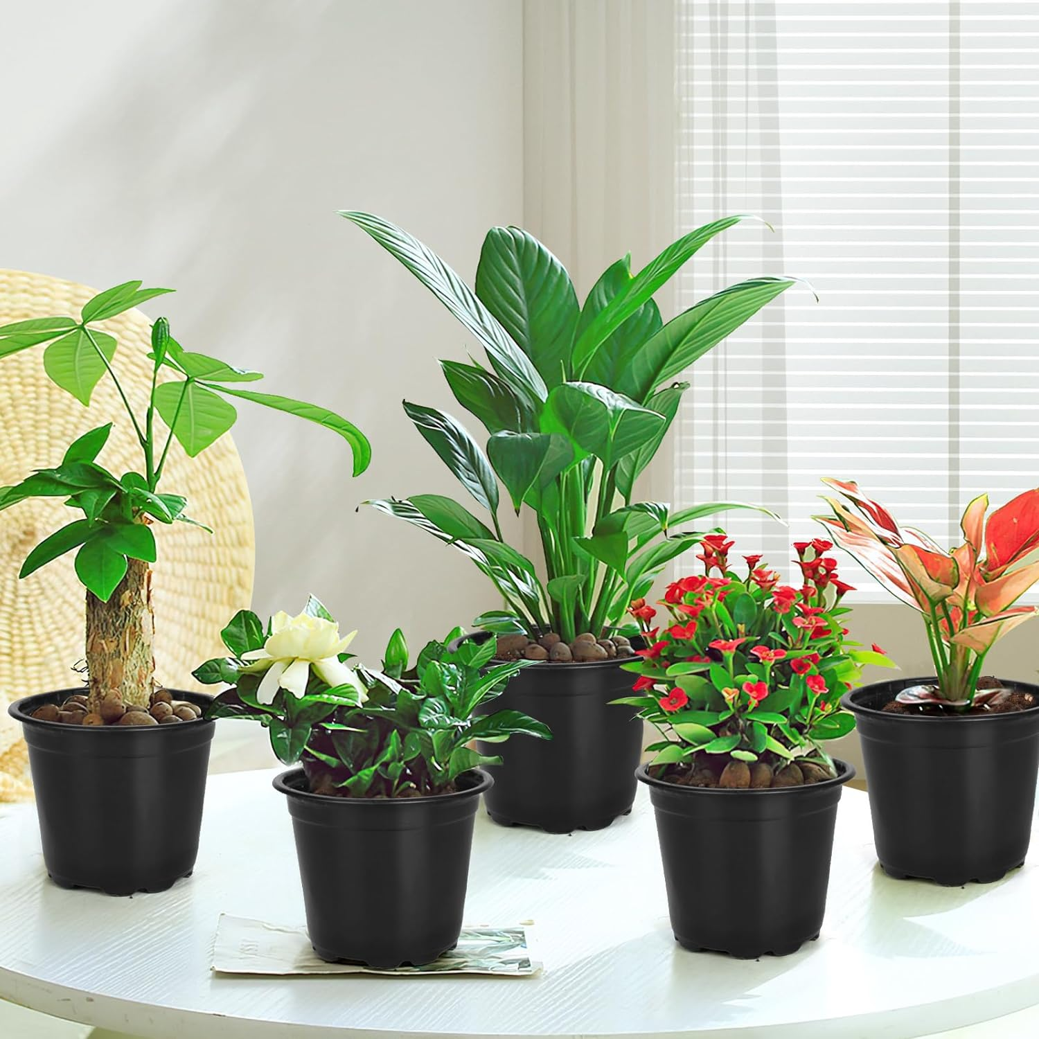 120 Pack 4 Inch Nursery Pots for Plants, Plastic Seeds Starter Pots with Drainage Holes, Small Plastic Plant Pots for Succulents Seedling Cutting Transplanting image number 1