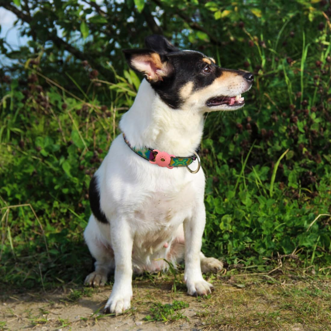 WUSJCOF 1 X Protective Case for Apple Airtag Pet Collar, Silicone Case for Airtag, Airtag Anti-Loss Locator Case for Dog Collar, School Bag image number 5