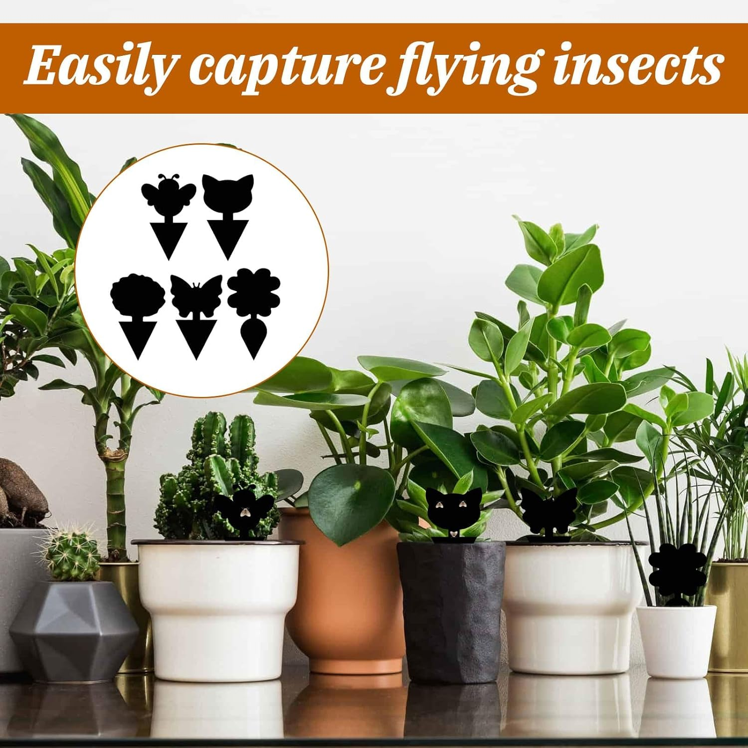 Fruit Fly Trap Indoor, Gnat Sticky Trap, 50 PCS Fruit Fly Traps for Whiteflies Mosquitos Fungus Aphids Leafminers, Gnat Trap for Indoor Outdoor Use Protect the Plant, Pest Control(Black) image number 1