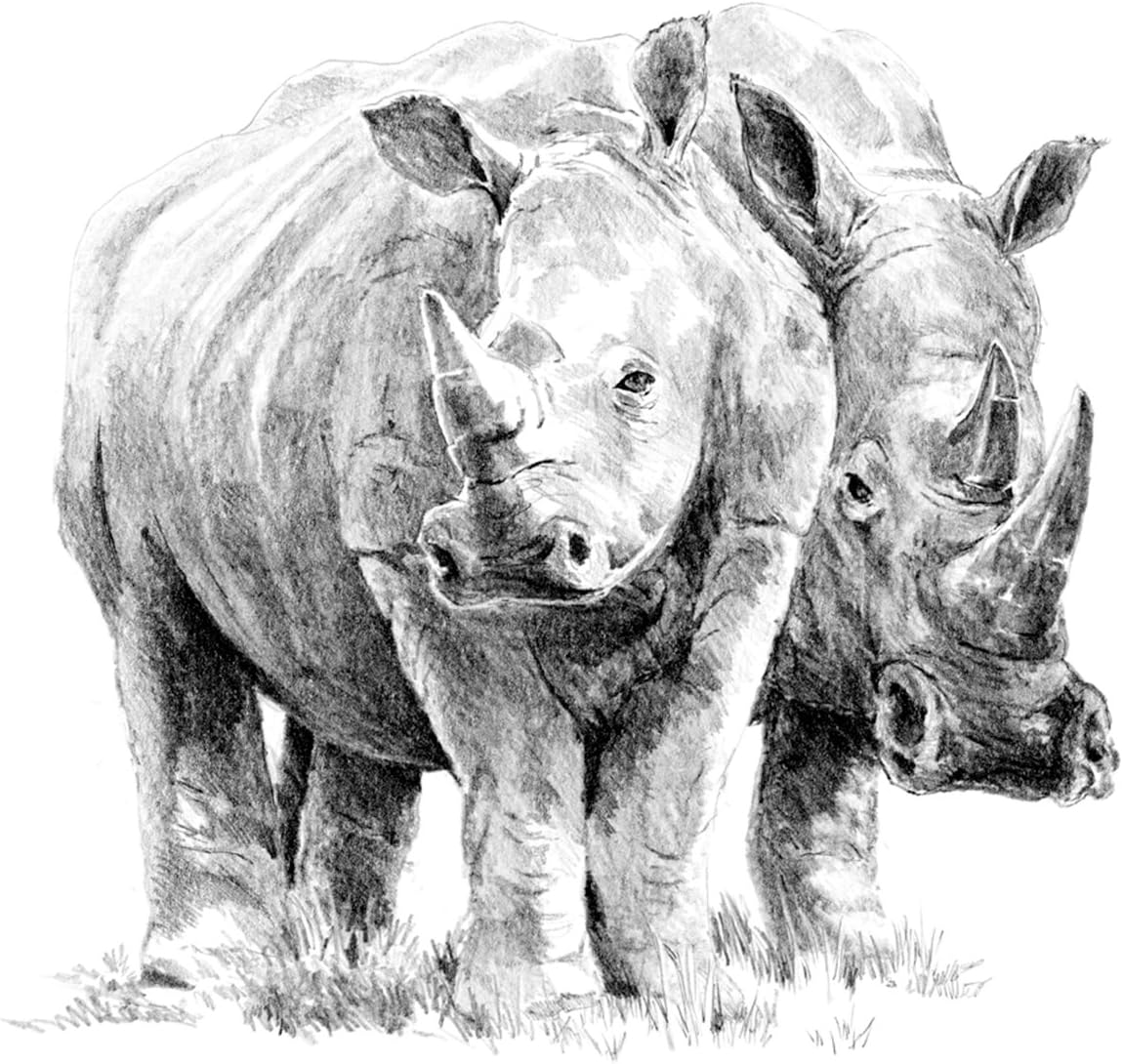 Royal & Langnickel Rhino Pair A4 Sketching Made Easy Art Project Kit