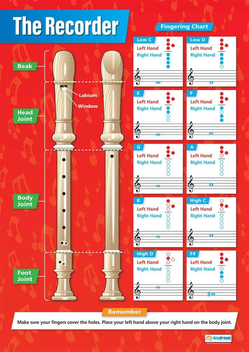 The Recorder | Music Posters | Gloss Paper Measuring 850Mm X 594Mm (A1) | Music Charts for the Classroom | Education Charts by Daydream Education image number 1