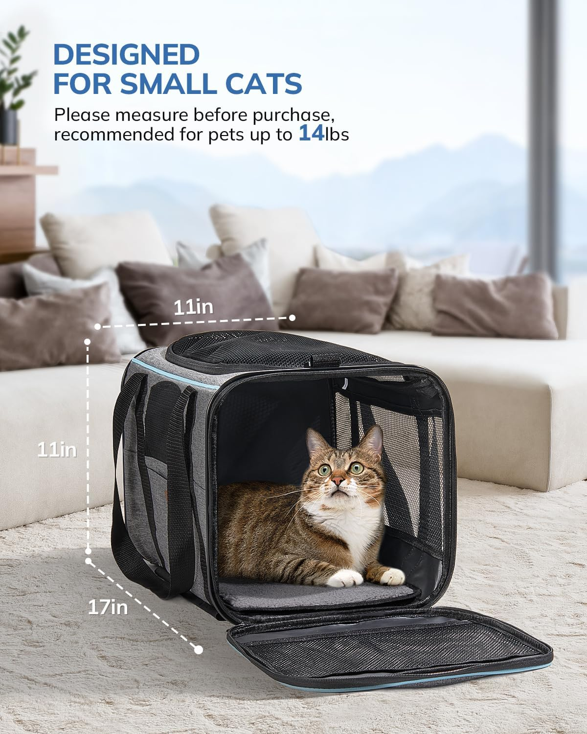 Morpilot Cat Transport Box with Trolley, Foldable Cat Transport Box, Dog Carrier with Wheels for Small Dogs and Cats