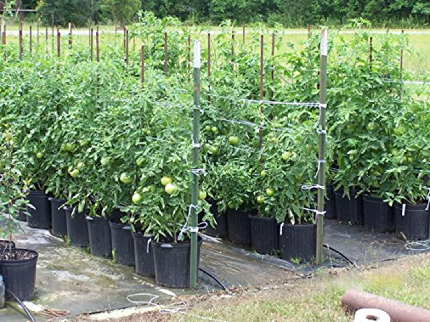 IRRIGATION-MART 6300FT Heavy Duty Polypropylene Garden Twine, 8 Inches image number 2