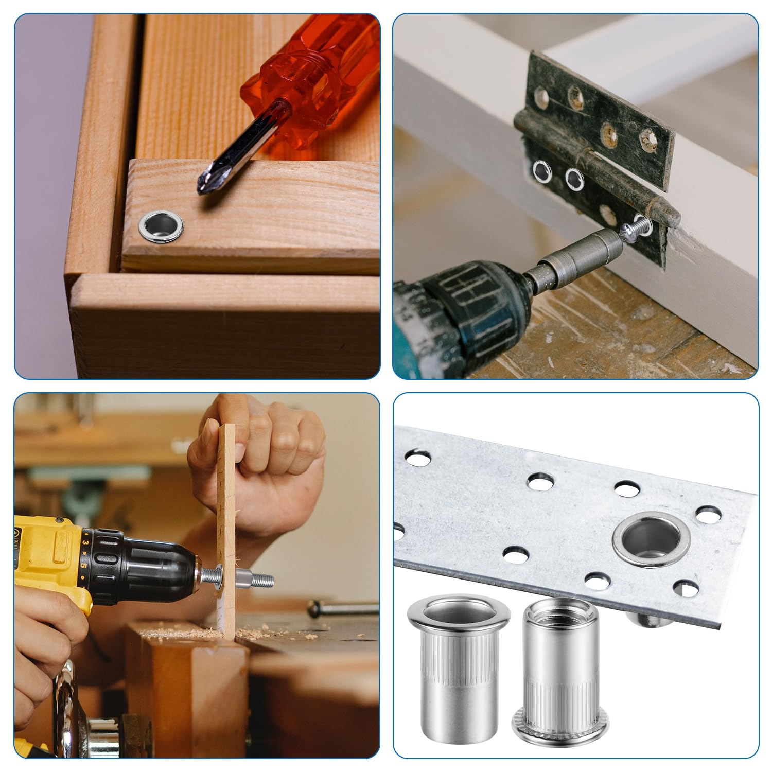 50Pcs 1/4-20Rivet Nuts, Stainless Steel Insert Nut Nut Insert Assortment Clinching Pressure Rivet Nut for Automotive Electrical and Industrial Products