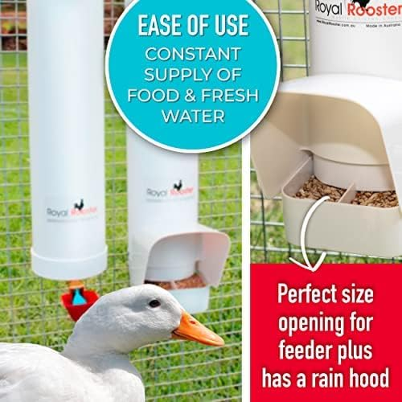 Royal Rooster Duck Feeder and Twin Waterer Set - Includes 4 Litre Waterer with 2 Cups & 3Kg Feeder for Ducks - Farm Backyard Coop Accessories with Hanging Duck Poultry Feeder and Duck Waterer Kit image number 3
