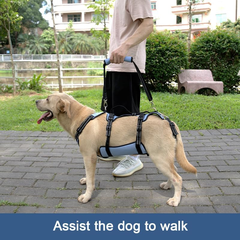 COODEO Dog Lift Harness, Support & Recovery Sling, Pet Rehabilitation Lifts Vest Adjustable Breathable Straps for Old, Disabled, Joint Injuries, Arthritis, Paralysis Dogs Walk (Xxlarge) image number 2