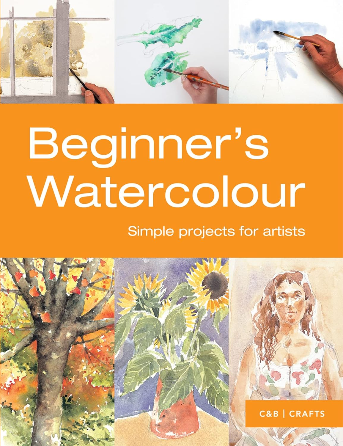 Beginner'S Watercolour: Simple Projects for Painters image number 1