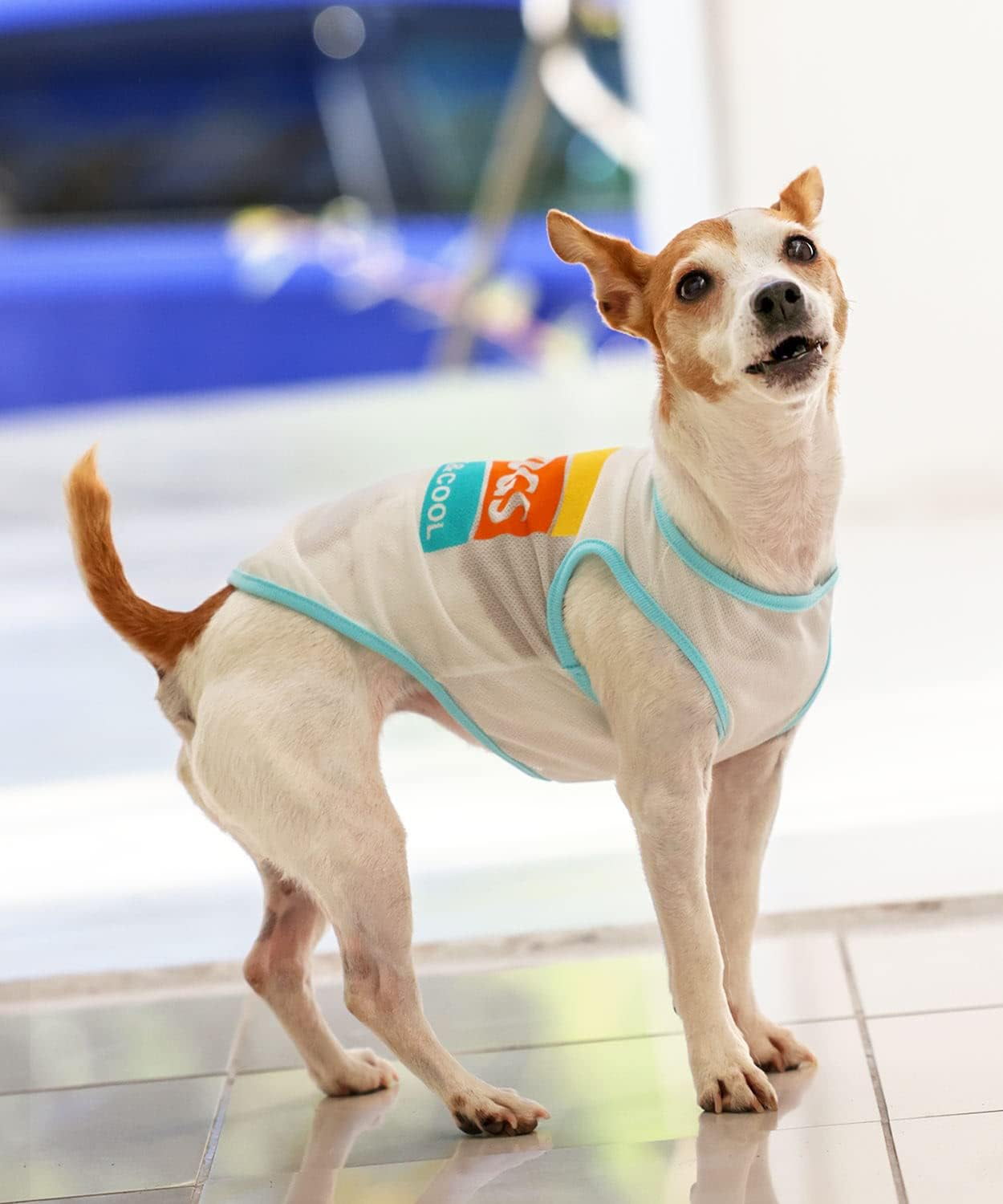 Dog Life Cool Mesh Tank LWD White Dog XL Size image number 1