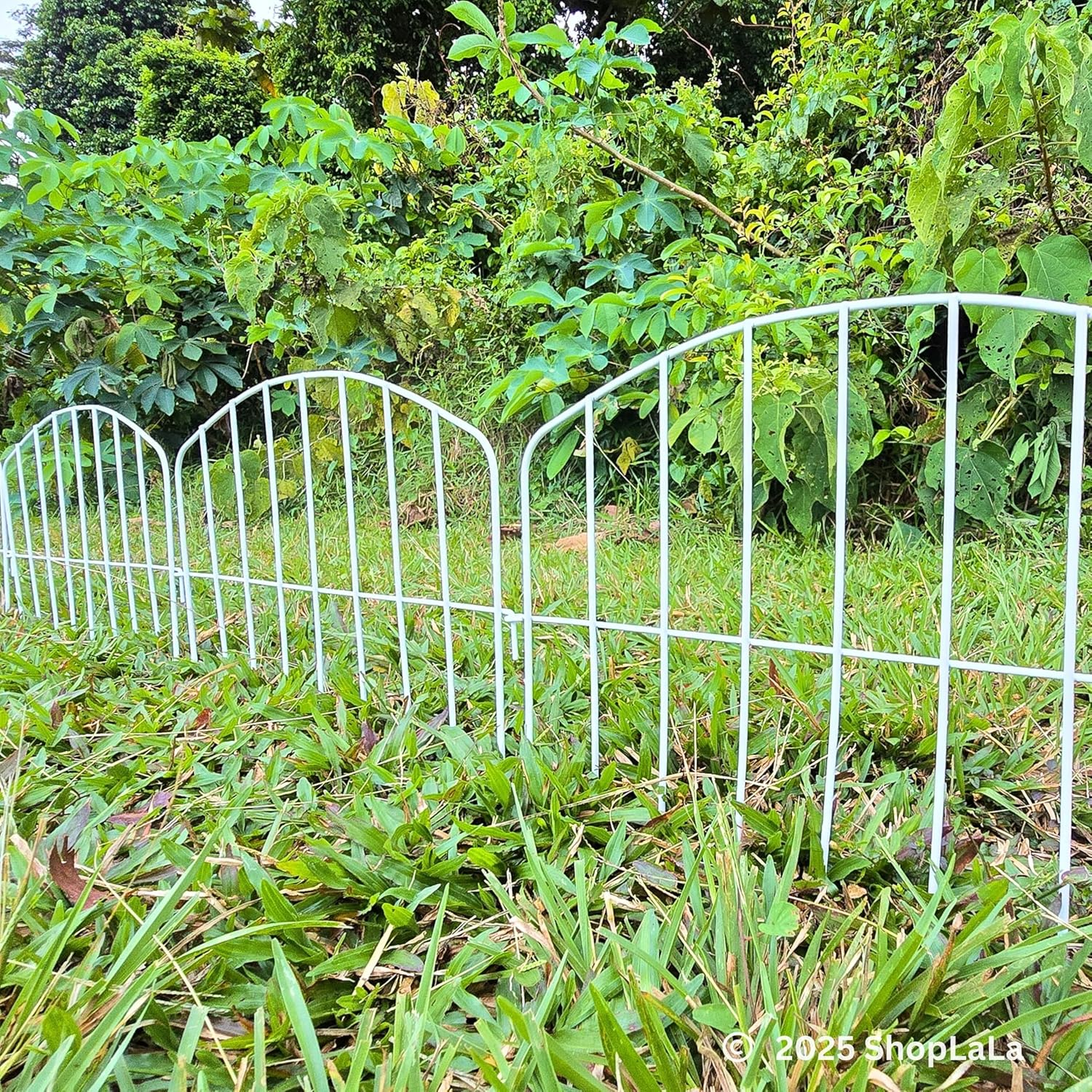 Shoplala Garden Fence Border (10 Panels) 12In(L) X 16.5In(H) Decorative Metal Wire Animal Barrier Fencing, Rustproof Flower Edging for Landscape Patio Outdoor Decor, Dog Gates and Border White M-L16.5 image number 6