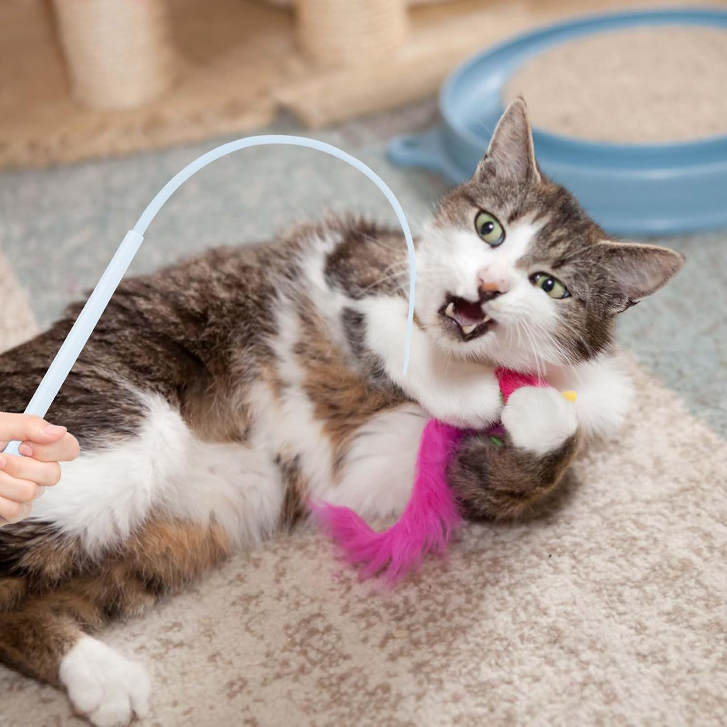 MOKIDO Pack of 4 Cat Fishing Rods, Long, 77 Cm Cat Wand Interactive Cat Toy, Silicone Teaser Cat Wand Toy, Cat Toy for Kittens for Indoor Cat Play Exercises image number 5