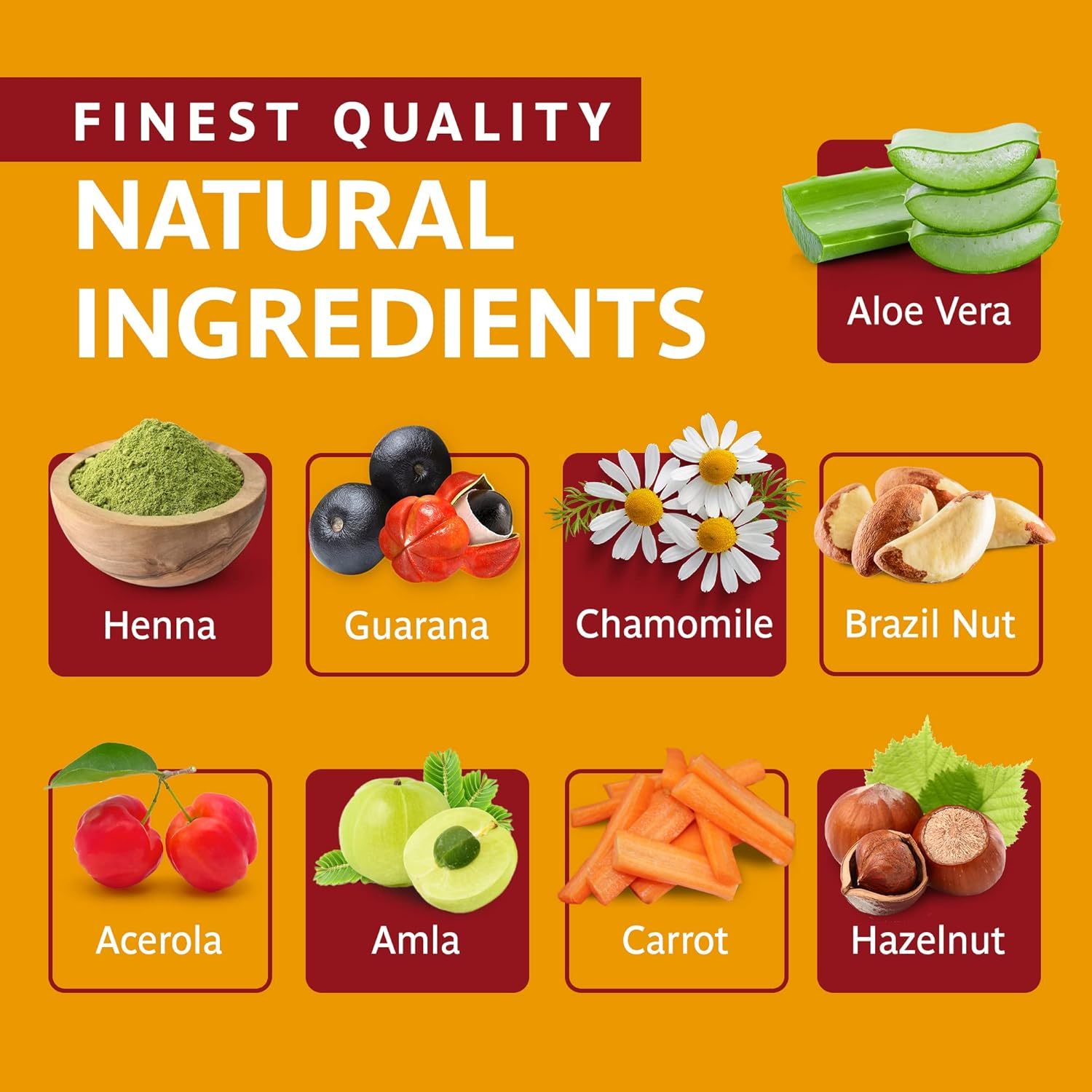 Surya Brasil - Henna Cream Hair Coloring Black - 2.37 Fl. Oz.