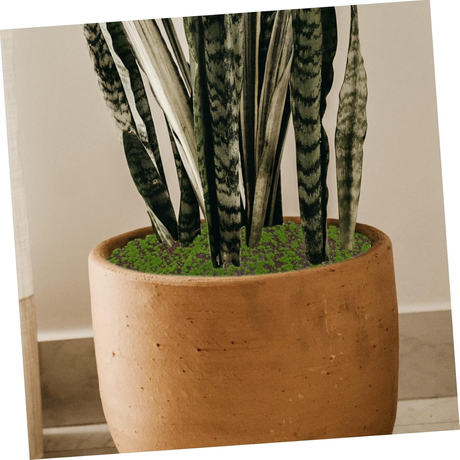 HOOTNEE Artificial Moss Fake Grass Micro Landscape Accessory Realistic Turf for Fairy Garden Decor image number 5