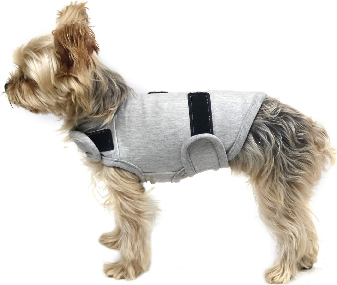 Comfort Dog Anxiety Relief Coat, Dog Anxiety Calming Vest Wrap for Thunderstorm,Travel,4Th of July Fireworks,Vet Visits,Separation Anxiety Relief for Dogs (X-Small (Pack of 1), Rose)