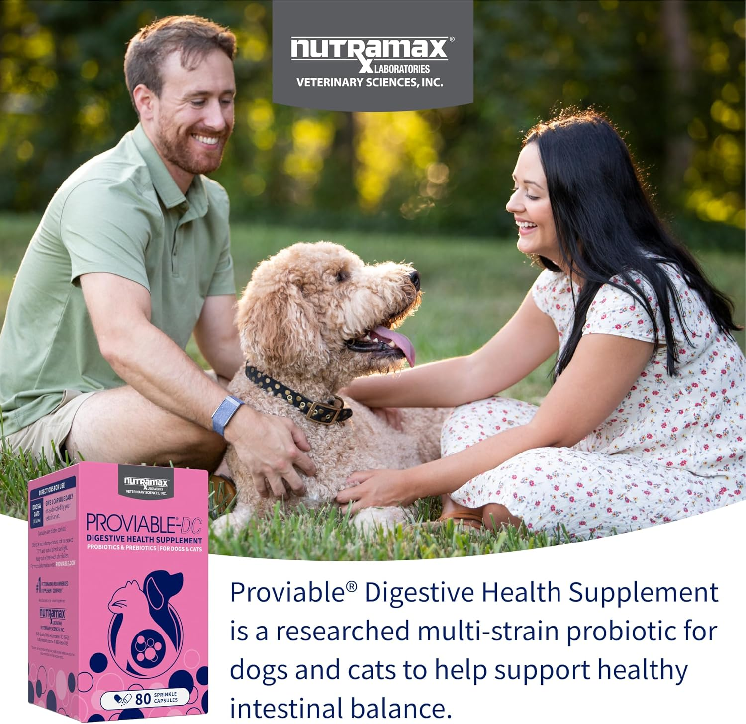 Nutramax Proviable Probiotics for Dogs and Cats, Daily Digestive Health Supplement with Multiple Strains of Bacteria, Cat and Dog Probiotics plus Prebiotics, 80 Capsules image number 3