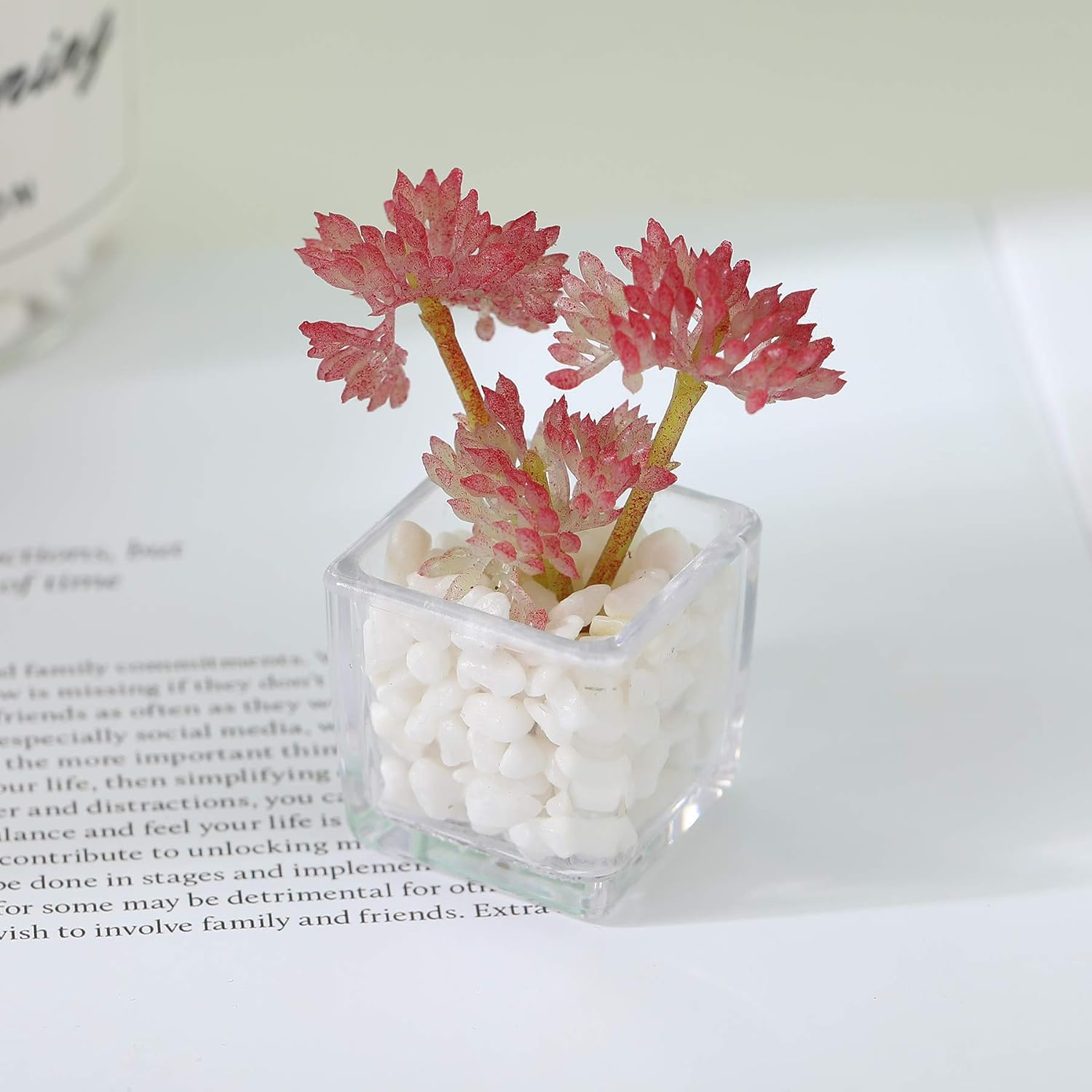 Cute Succulent Refrigerator Magnets Plants Fridge Magnets,Mini Artificial Magnets for Refrigerator Set of 4,Decoration Kitchen,Whiteboard,Office,House - Succulent image number 3