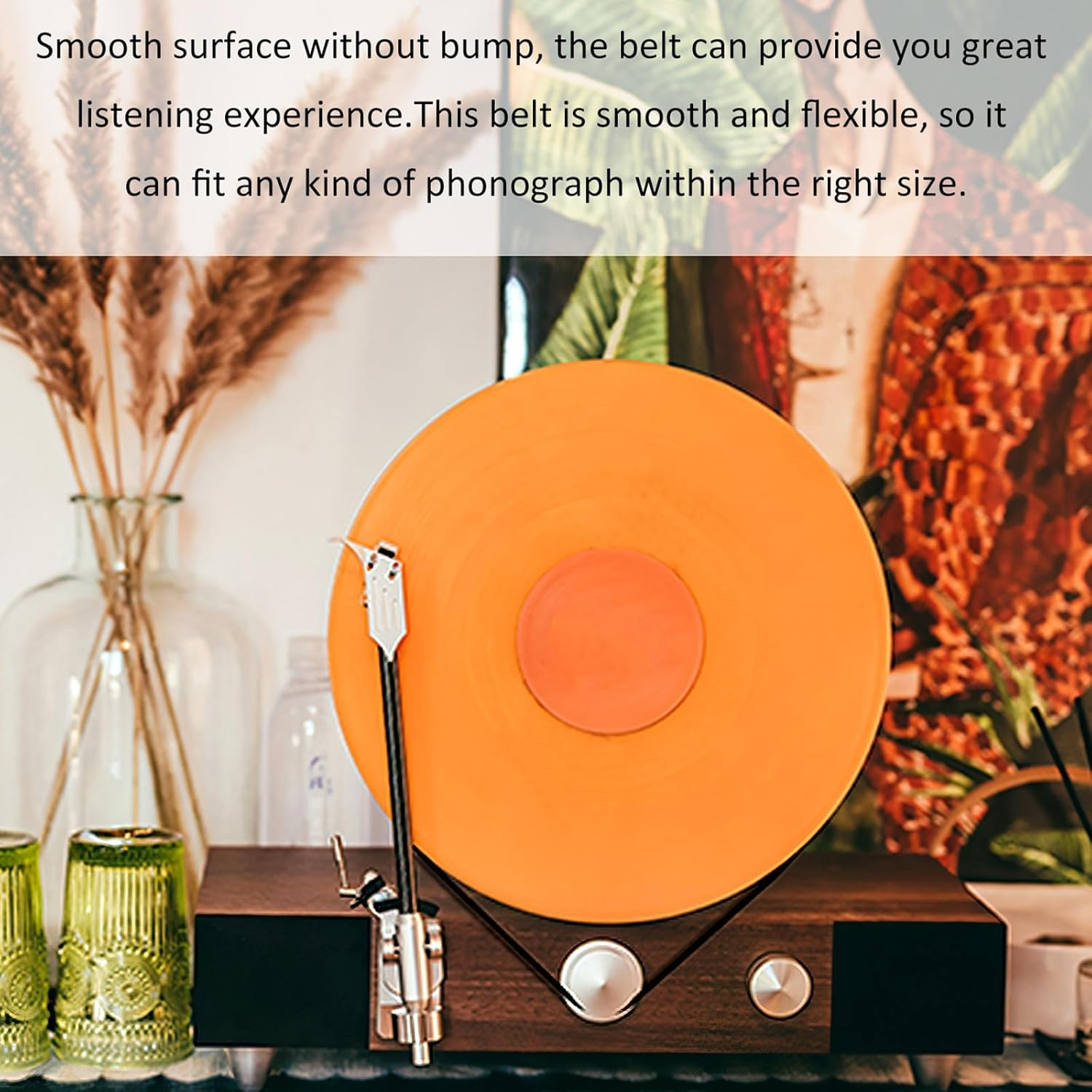 NOLITOY 6Pcs Rubber Turntable Belts for Record Player Phonograph Drive Belt Replacement Accessory, Assorted Sizes (154Mm to 285Mm) for Home Audio Equipment image number 3