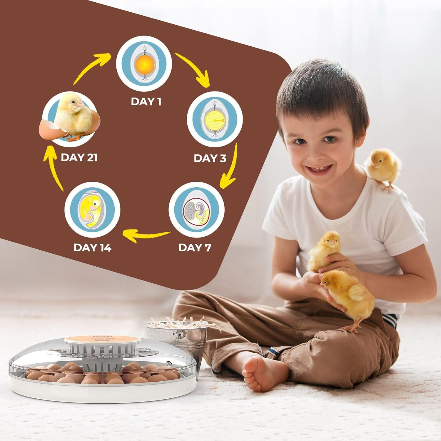 Pet Scene 30 Egg Incubator Automatic Hatcher Hatching Hatchery Machine for Chicken Duck Quail Bird Goose Turkey with Auto Turner Humidity Control LED Candler image number 3