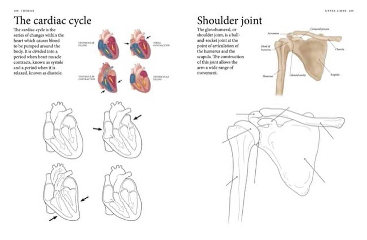 Human Body Colouring Book: Human Anatomy in 215 Illustrations