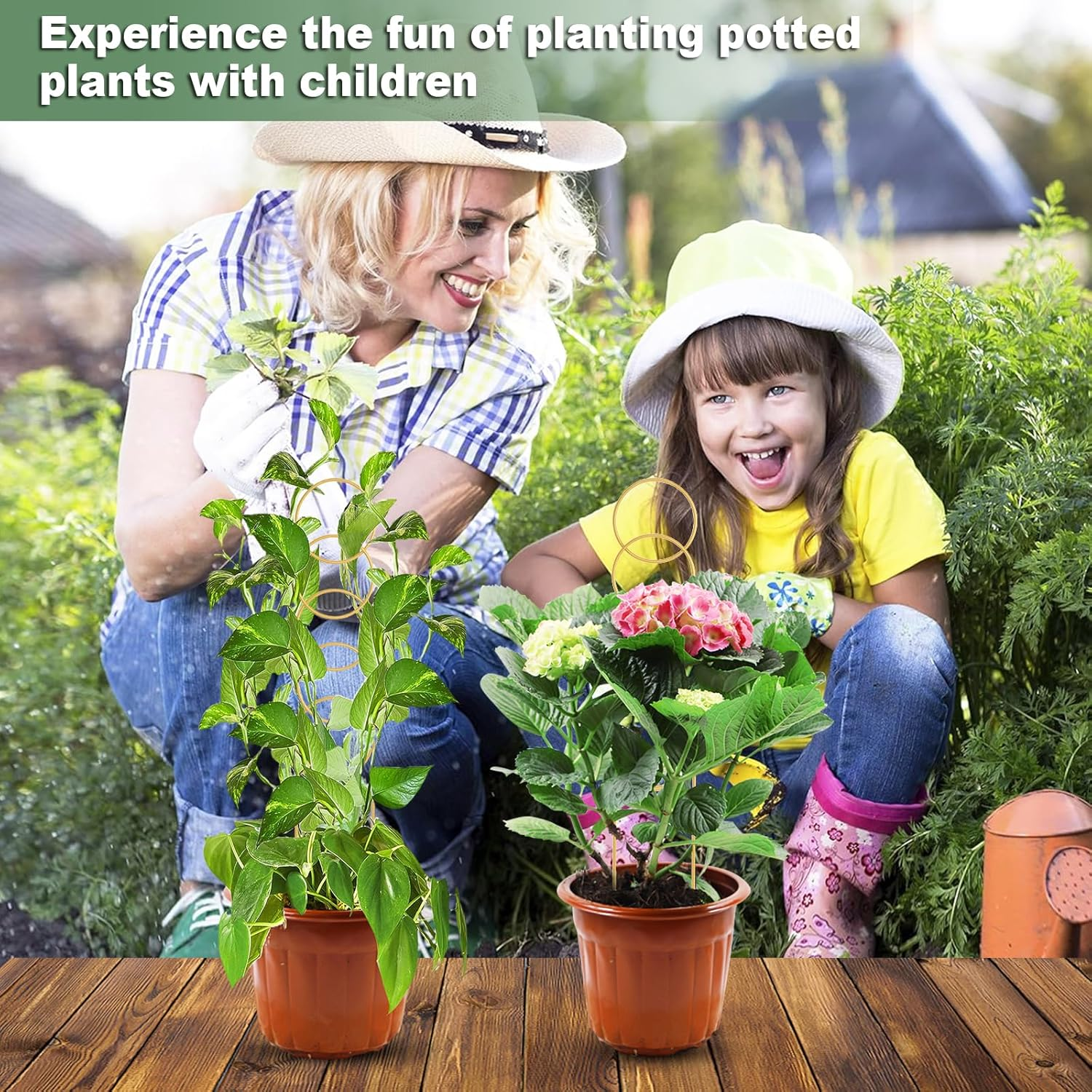 17.5 Inch Indoor Plant Trellis for Climbing Plants,Metal Trellis,Small Garden Trellis for Potted Plants,Plant Stakes for Indoor Plants Accessories Hoya,Flower,Plant Support (Golden-Metal) image number 2