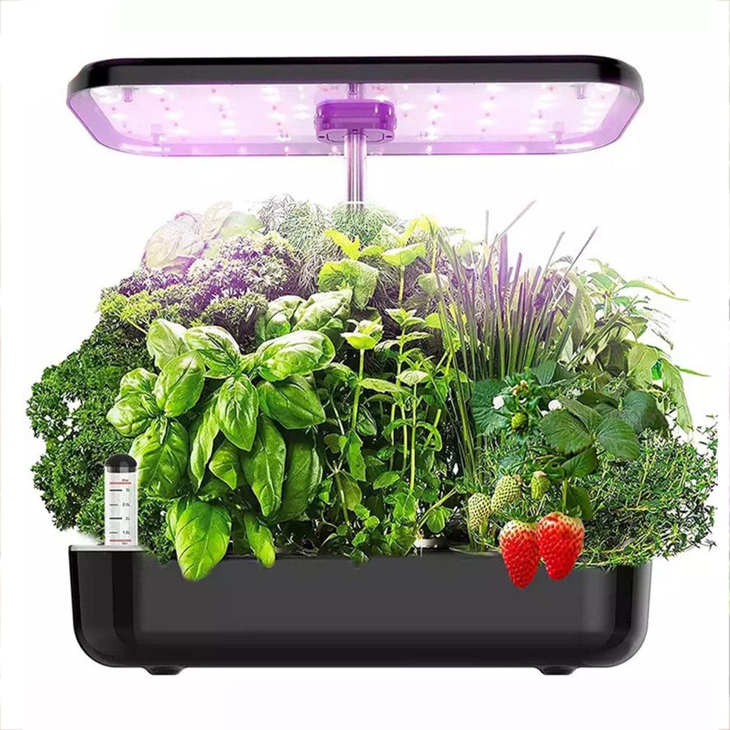 Indoor Herb Garden Hydroponics Growing System with Grow Lights,Indoor Gardening System for Home Kitchen, Hydroponics Supplies with Cycle Pump & Timing image number 4