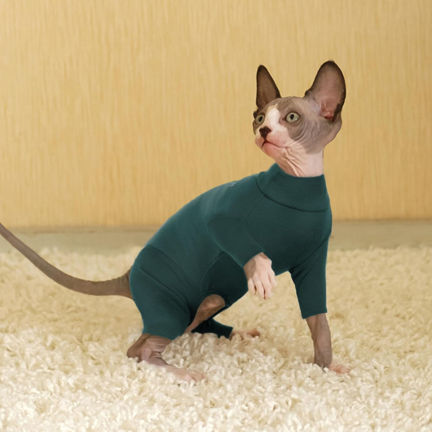 Cat Onesie, Cat Recovery Suit Kitten Clothes Extra Small Kitten Recovery Suit(Dark Green, XS) image number 1