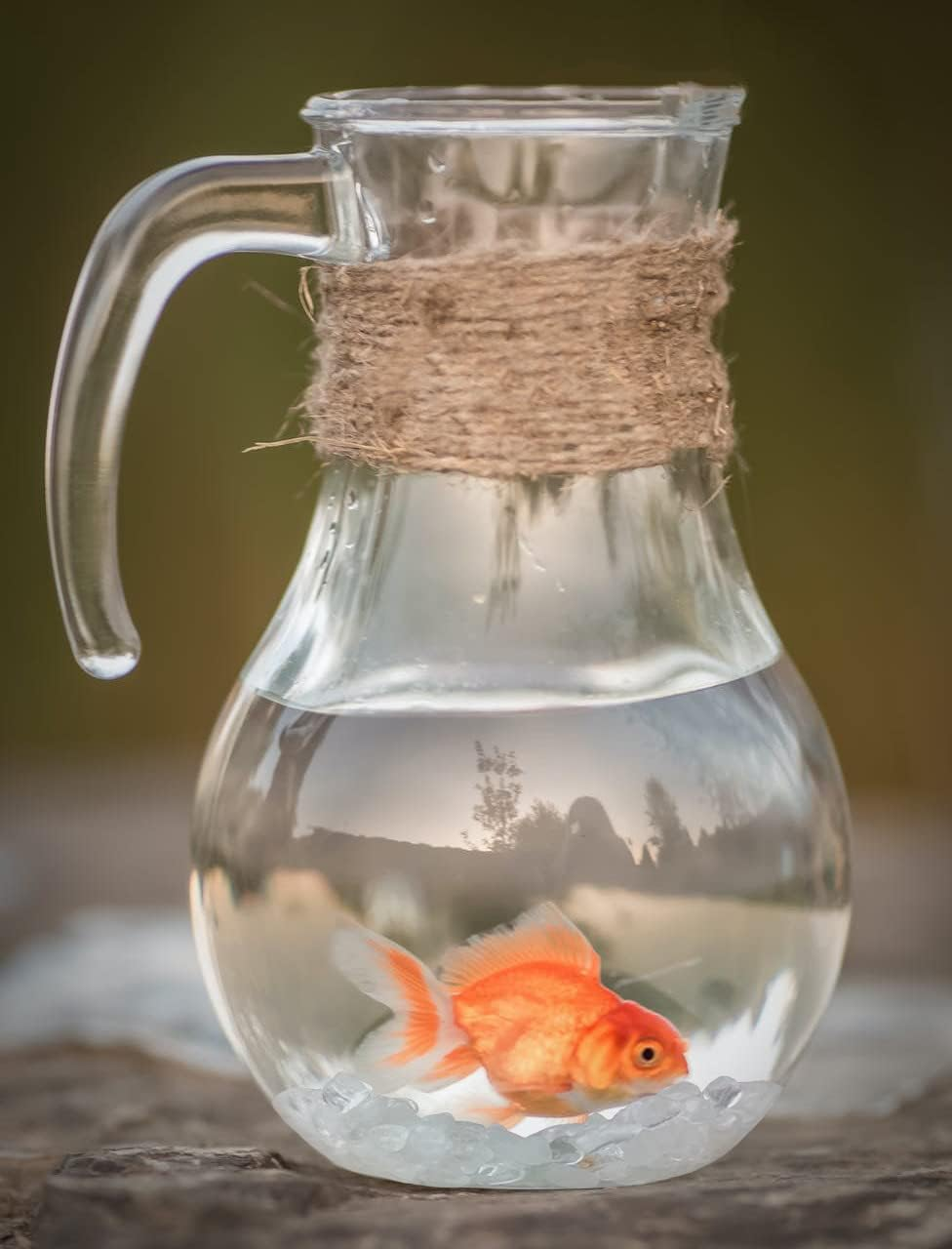 LAIDANLA Tiger Eye Crushed Stone Crystal Chips Bulk Natural Gemstones Healing Reiki Crystals Mini Quartz Vase Filler Aquarium Gravel 100G/0.22Lb. - Black- Obsidian image number 3